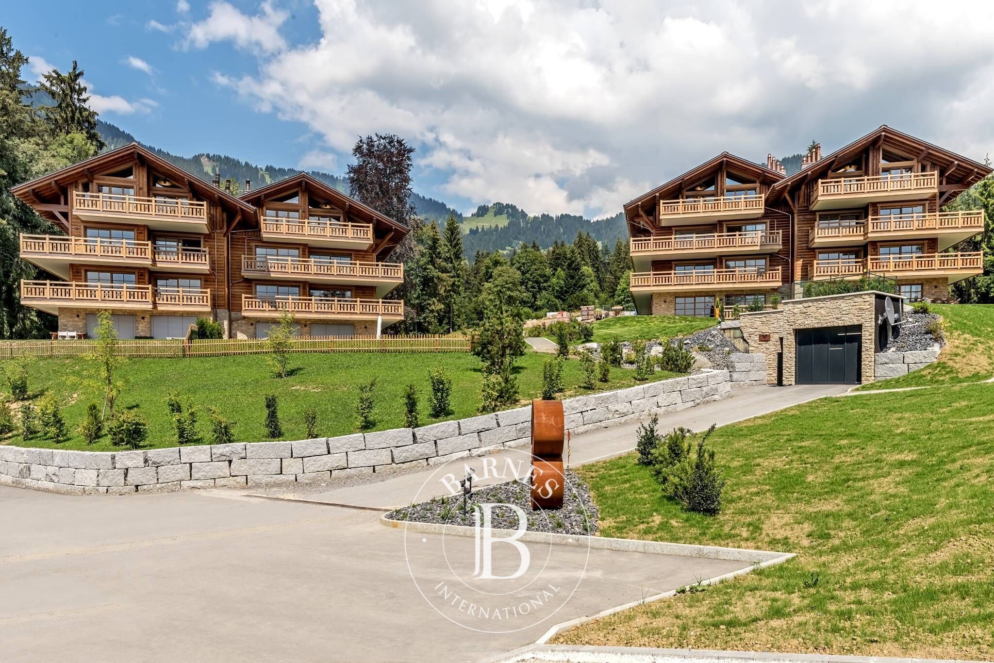 Cati kati Villars-sur-Ollon - picture 12