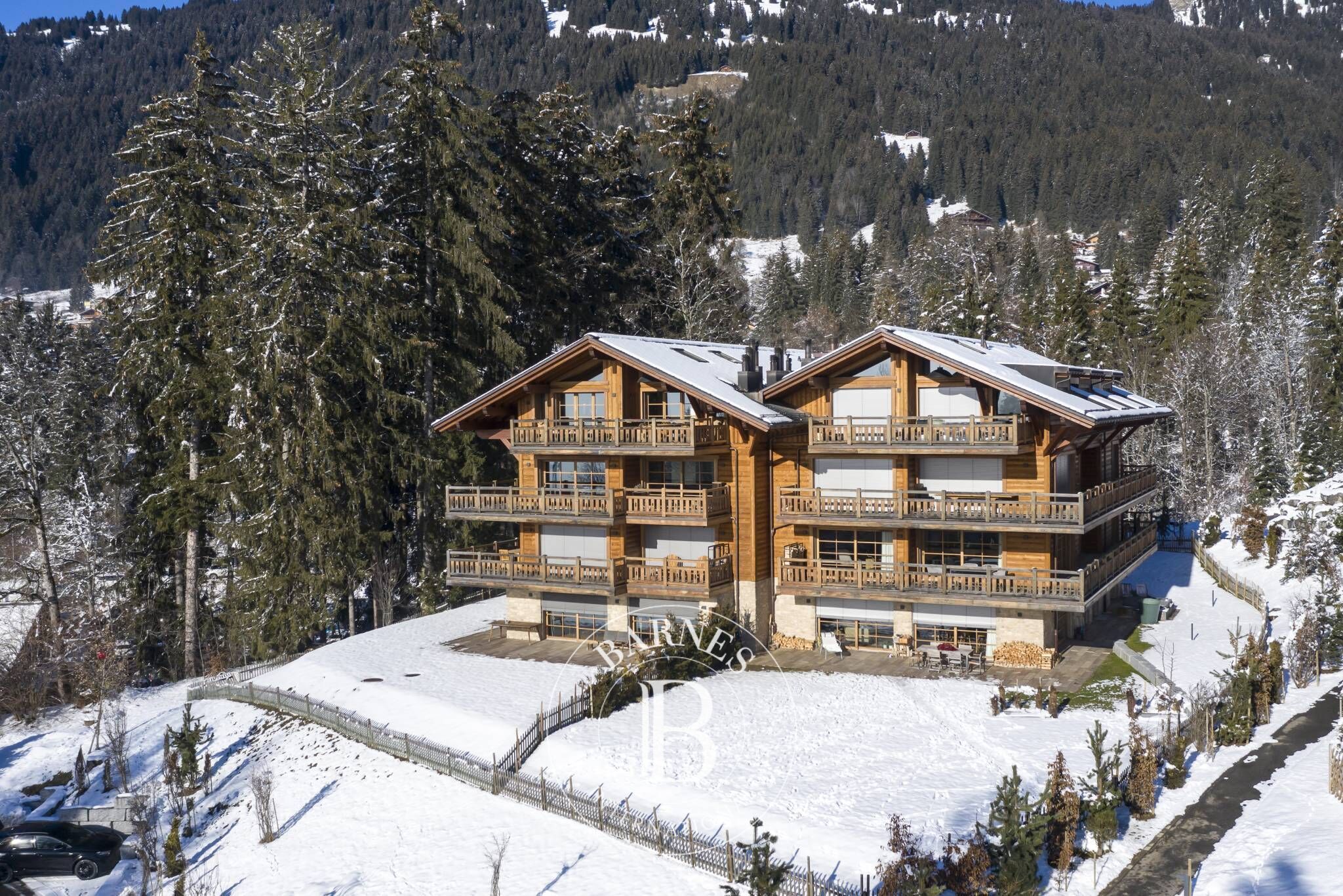 Cati kati Villars-sur-Ollon - picture 29