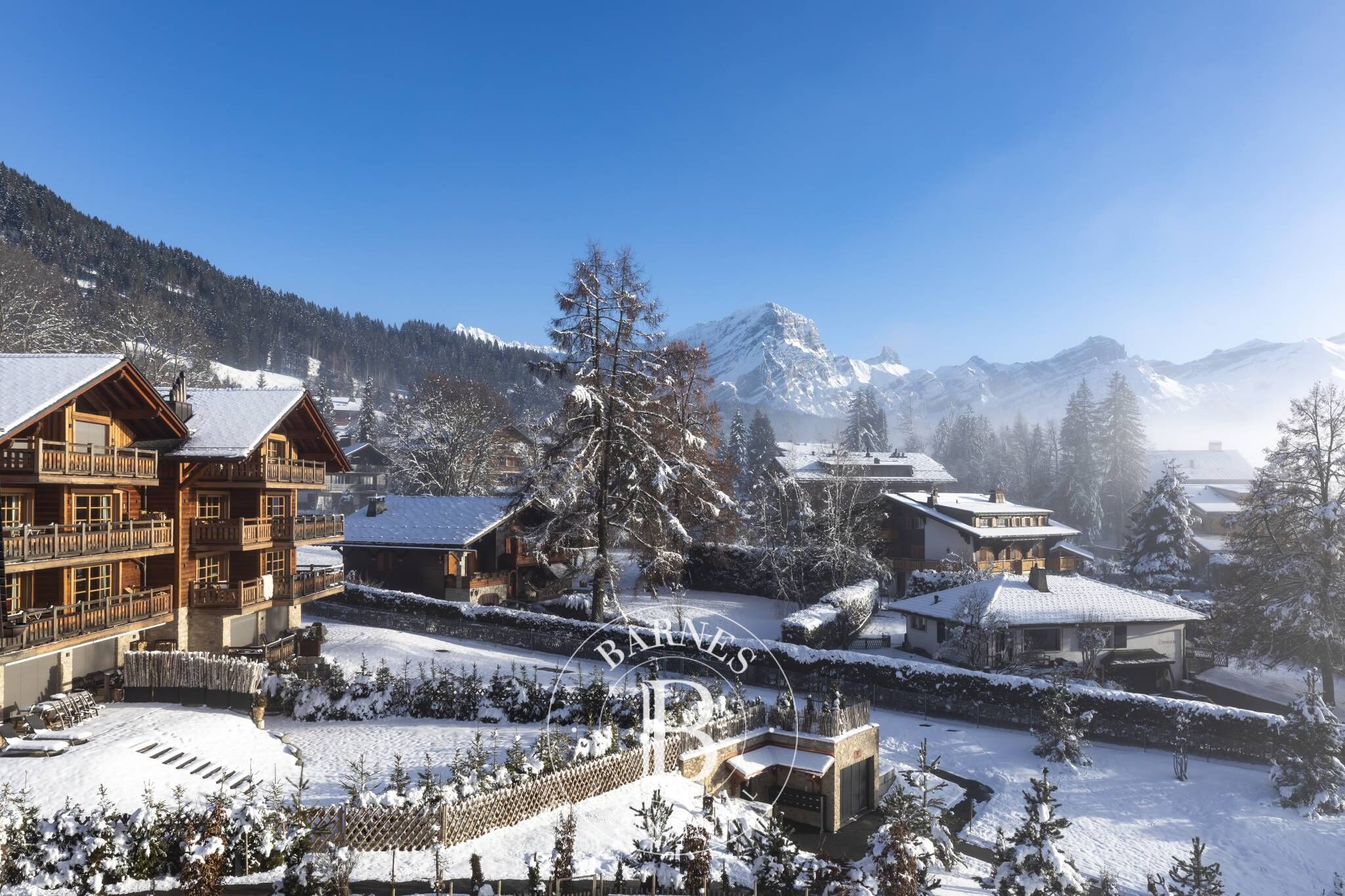 Cati kati Villars-sur-Ollon - picture 25