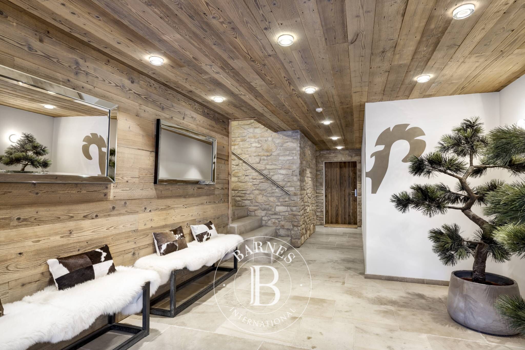 Cati kati Villars-sur-Ollon - picture 16