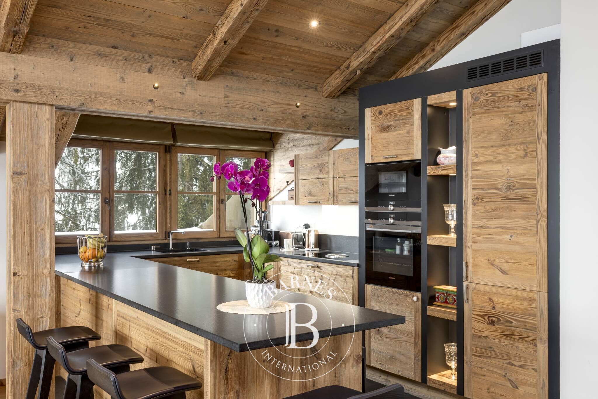 Cati kati Villars-sur-Ollon - picture 11