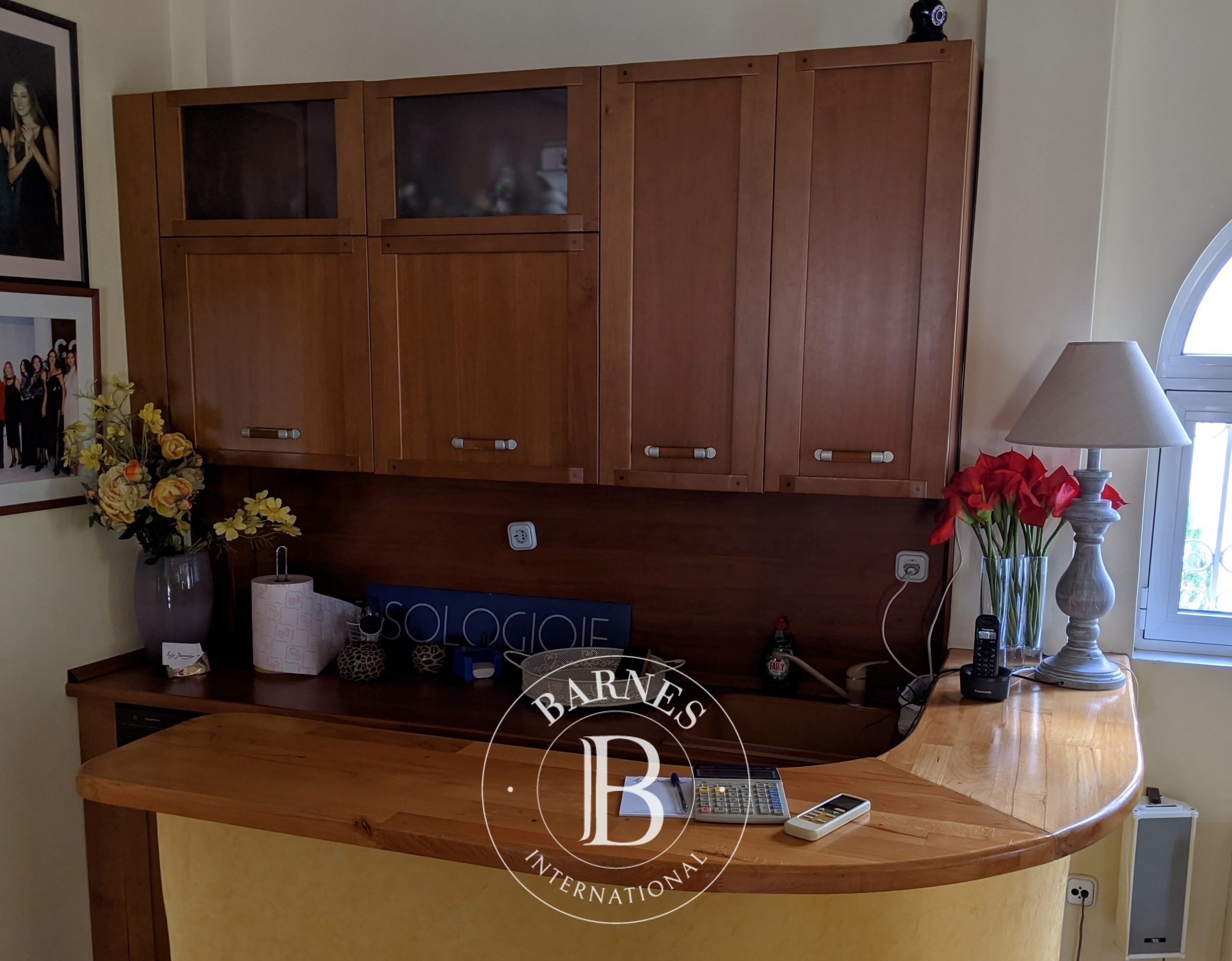 Bina Chalandri - picture 8