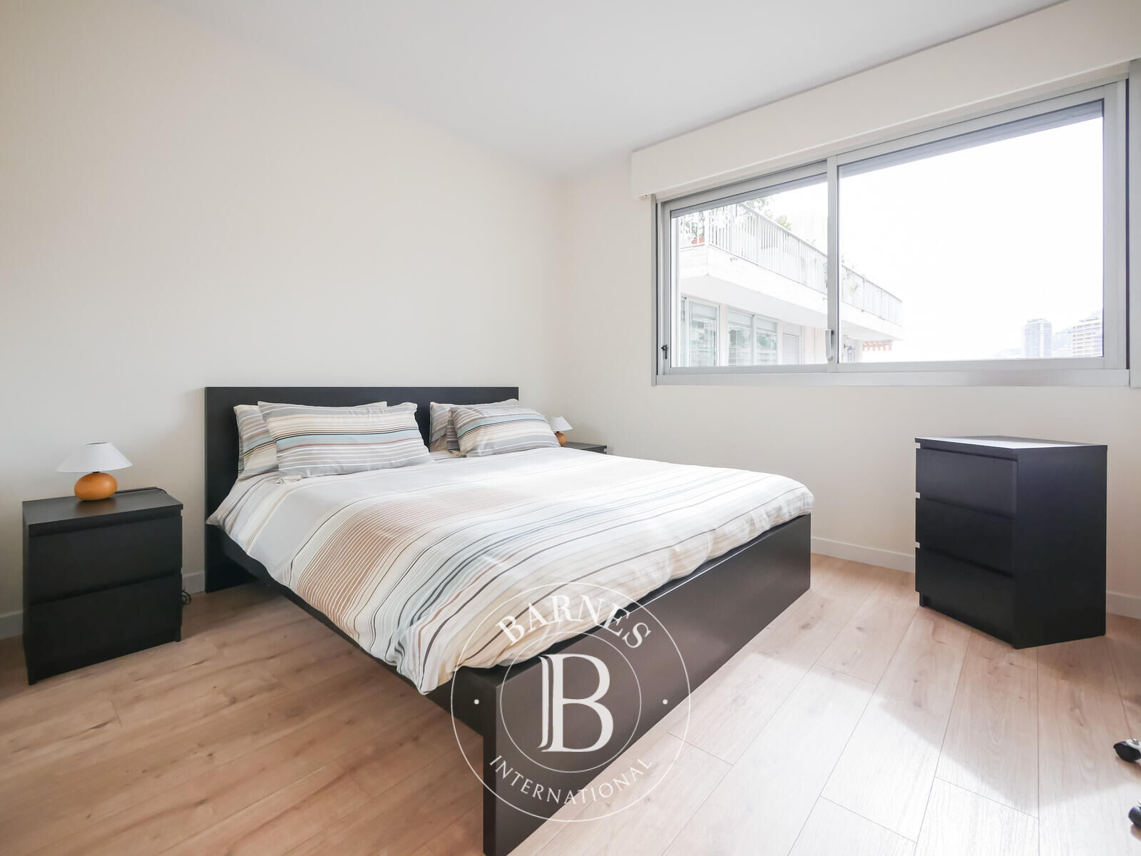 Daire Monaco - picture 9