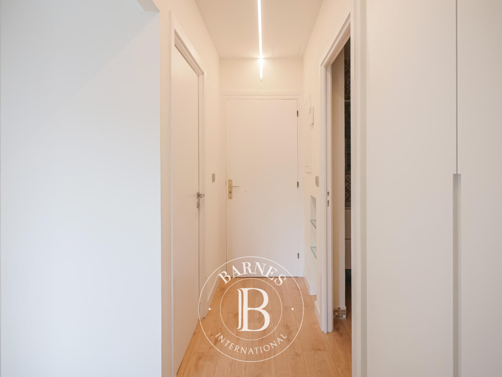 Daire Monaco - picture 8