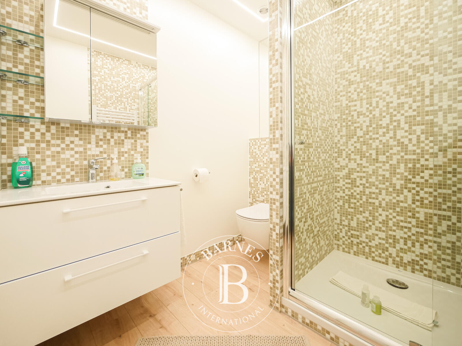 Daire Monaco - picture 11