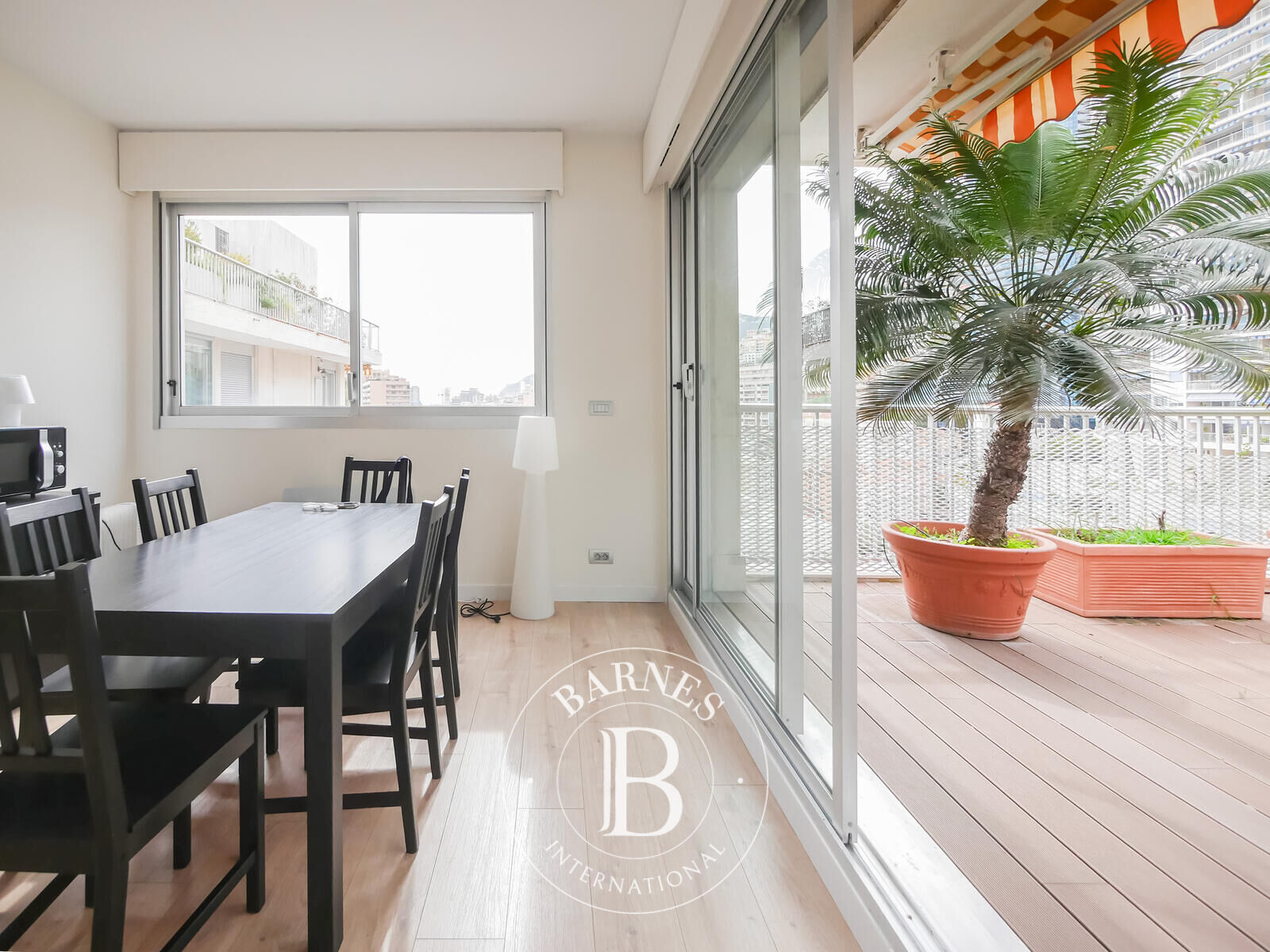 Daire Monaco - picture 5