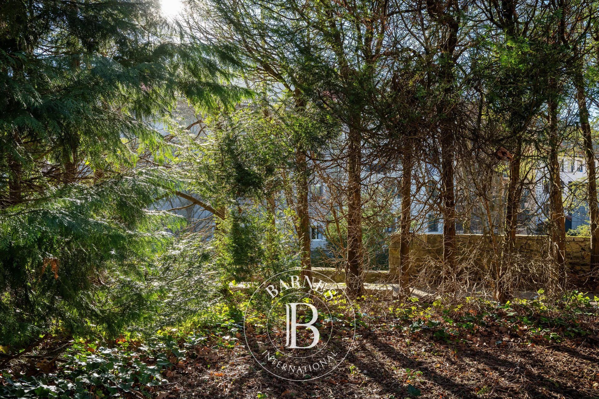 Ev Legazpi - picture 9