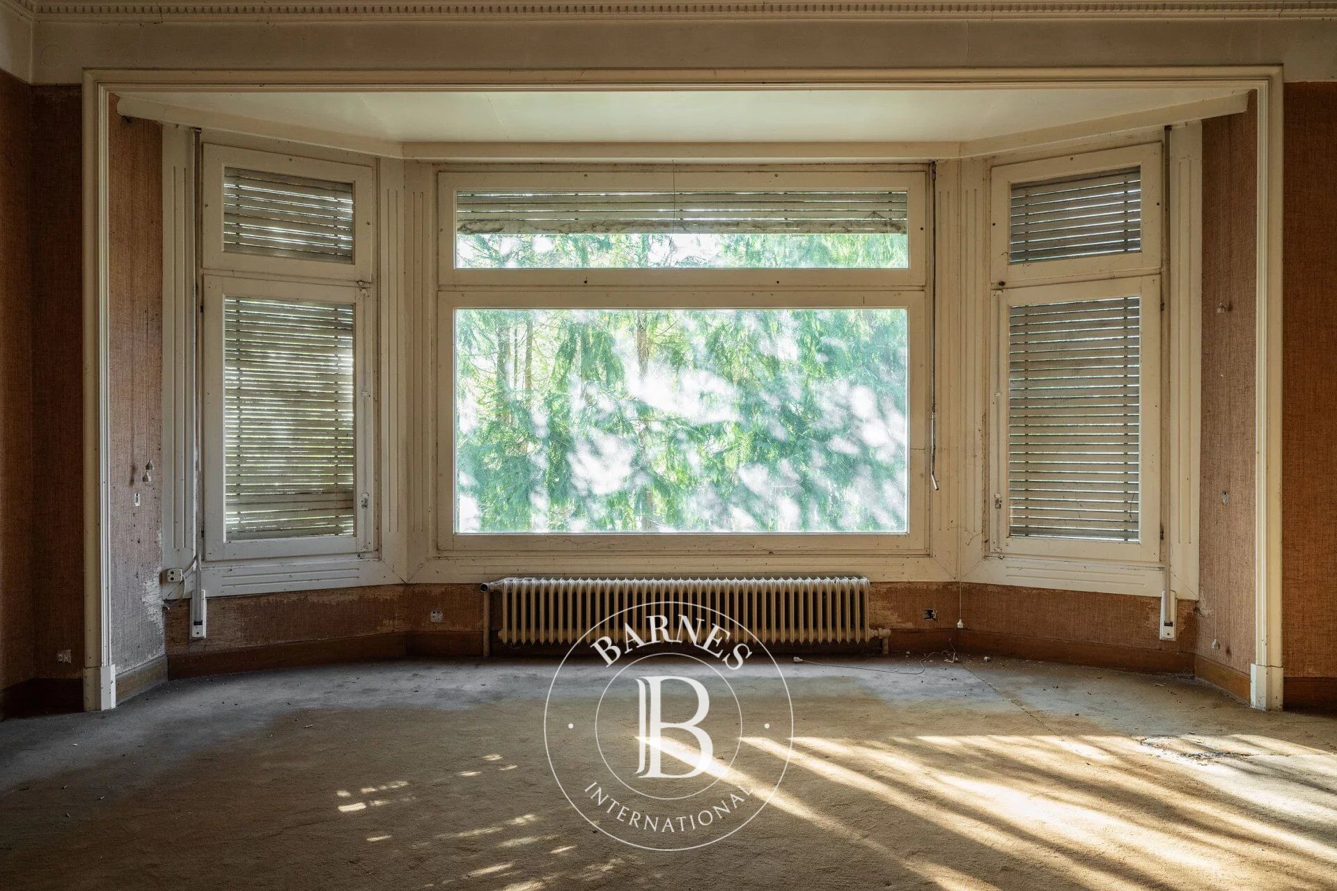 Ev Legazpi - picture 12