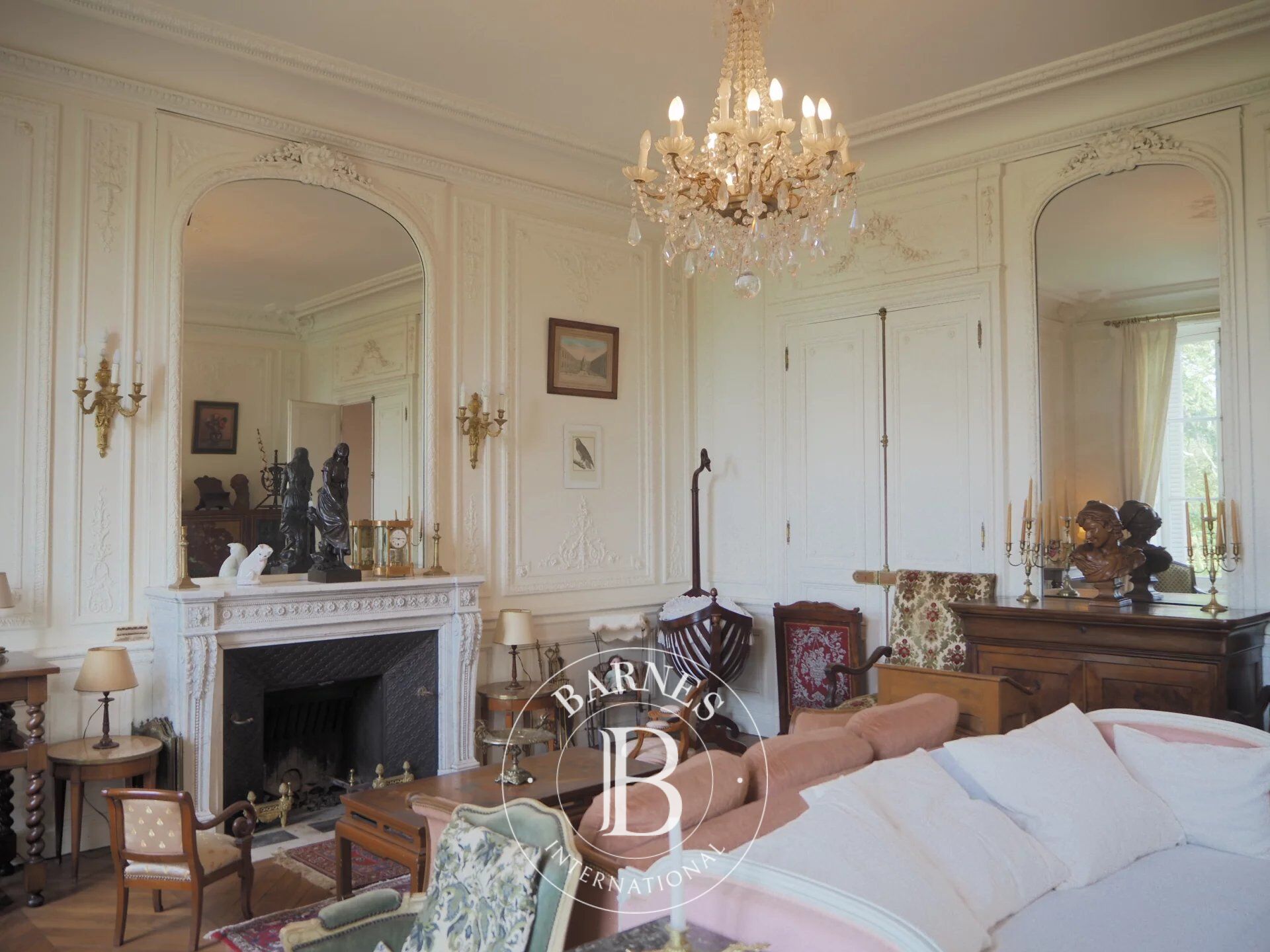 For Sale, Castle Saint-Cyr-en-Val - picture 5