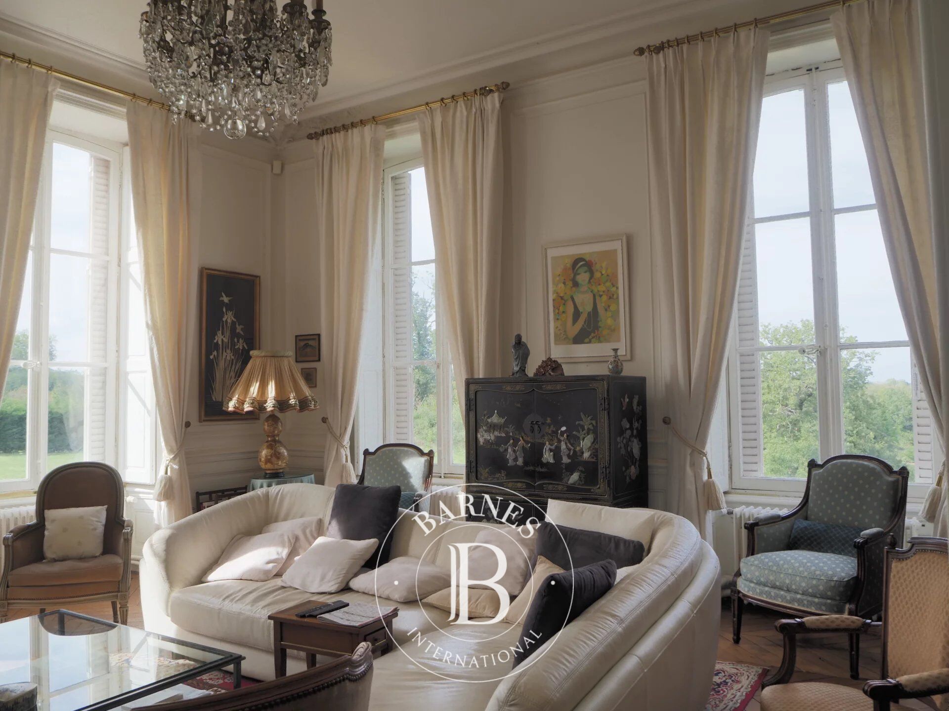 For Sale, Castle Saint-Cyr-en-Val - picture 3