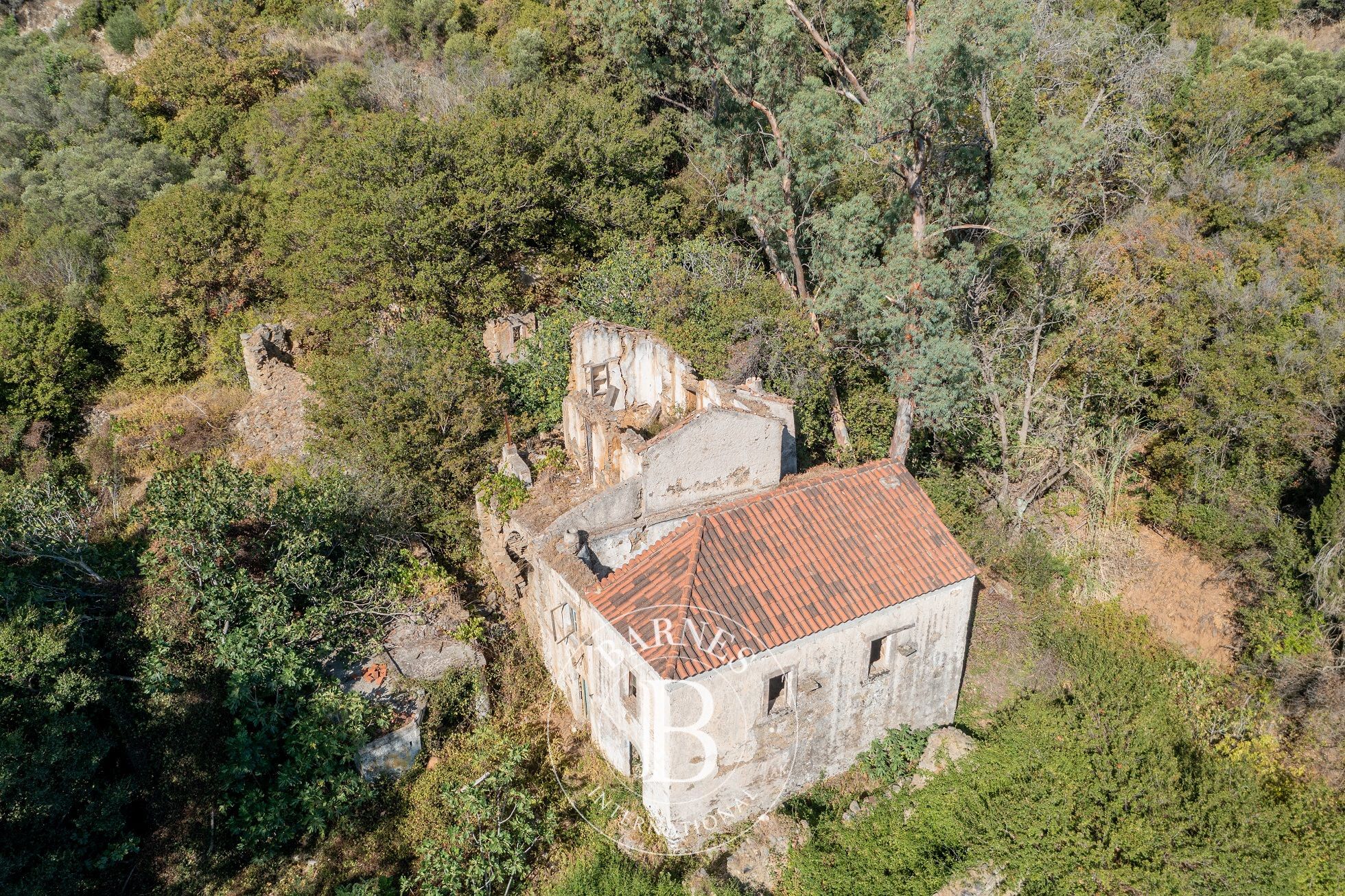 Propriété Idyllique - Île de Cythère - picture 2