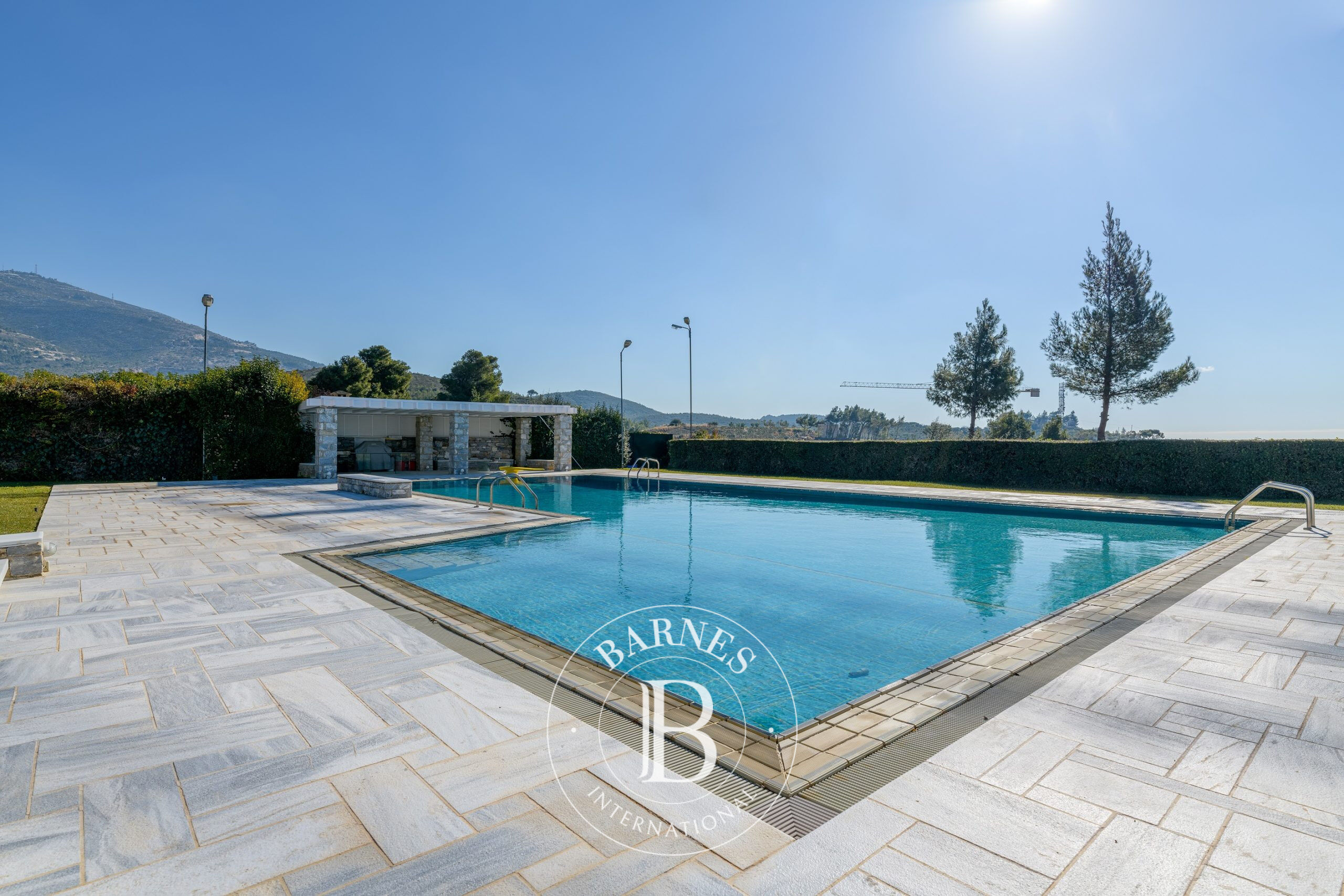 Ev Politeia - picture 5