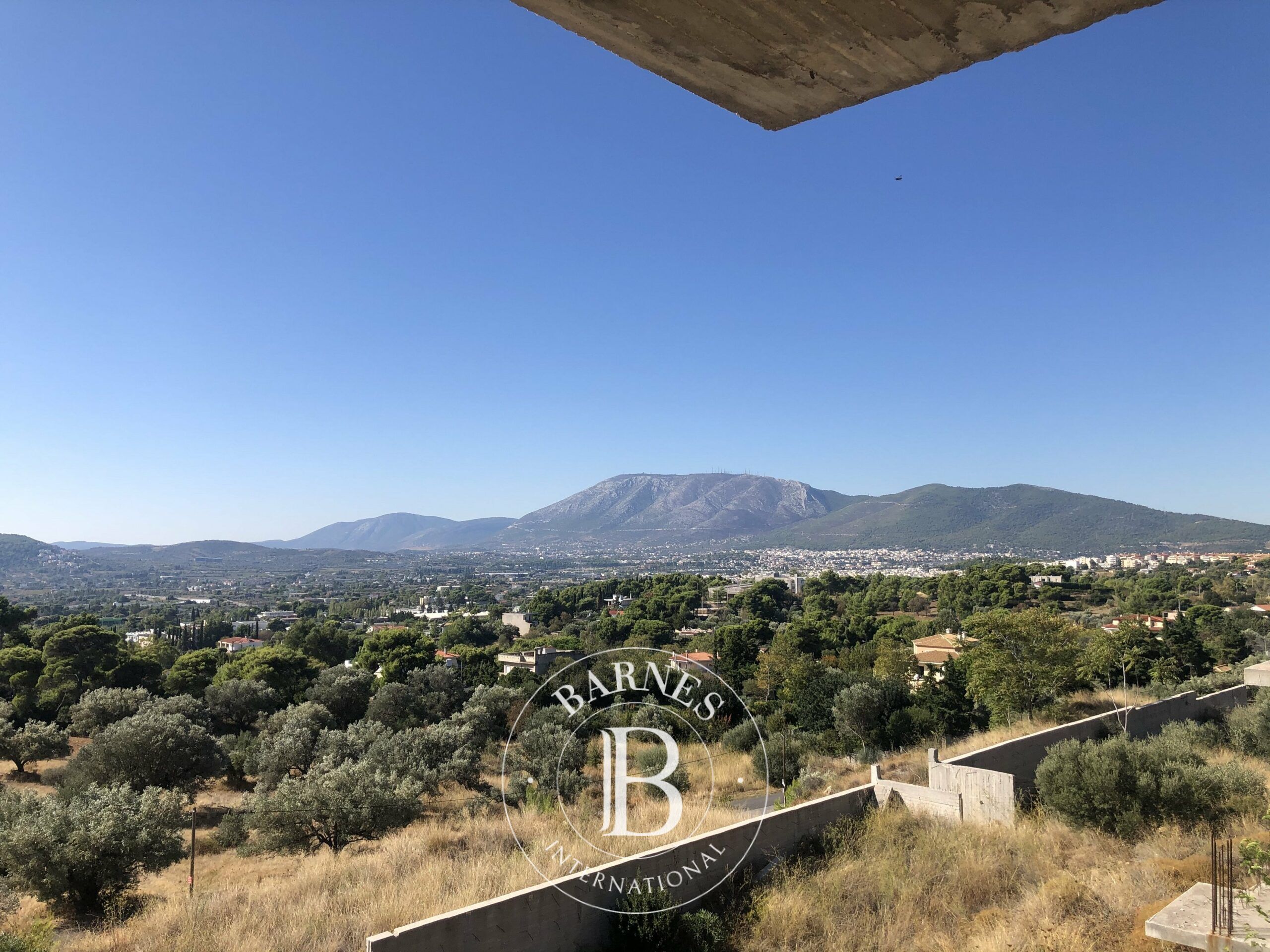 Daire Pallini - picture 4