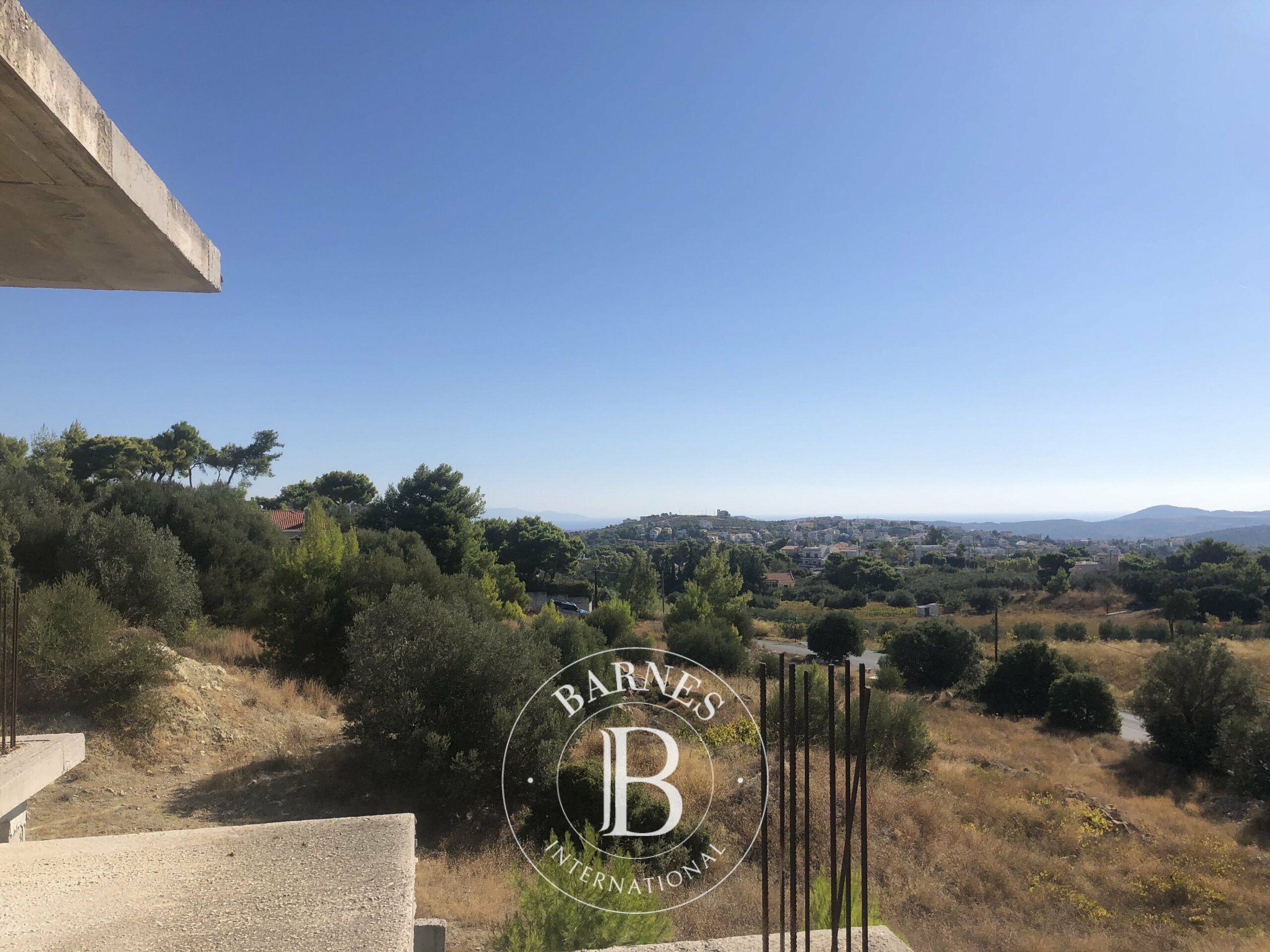 Daire Pallini - picture 8