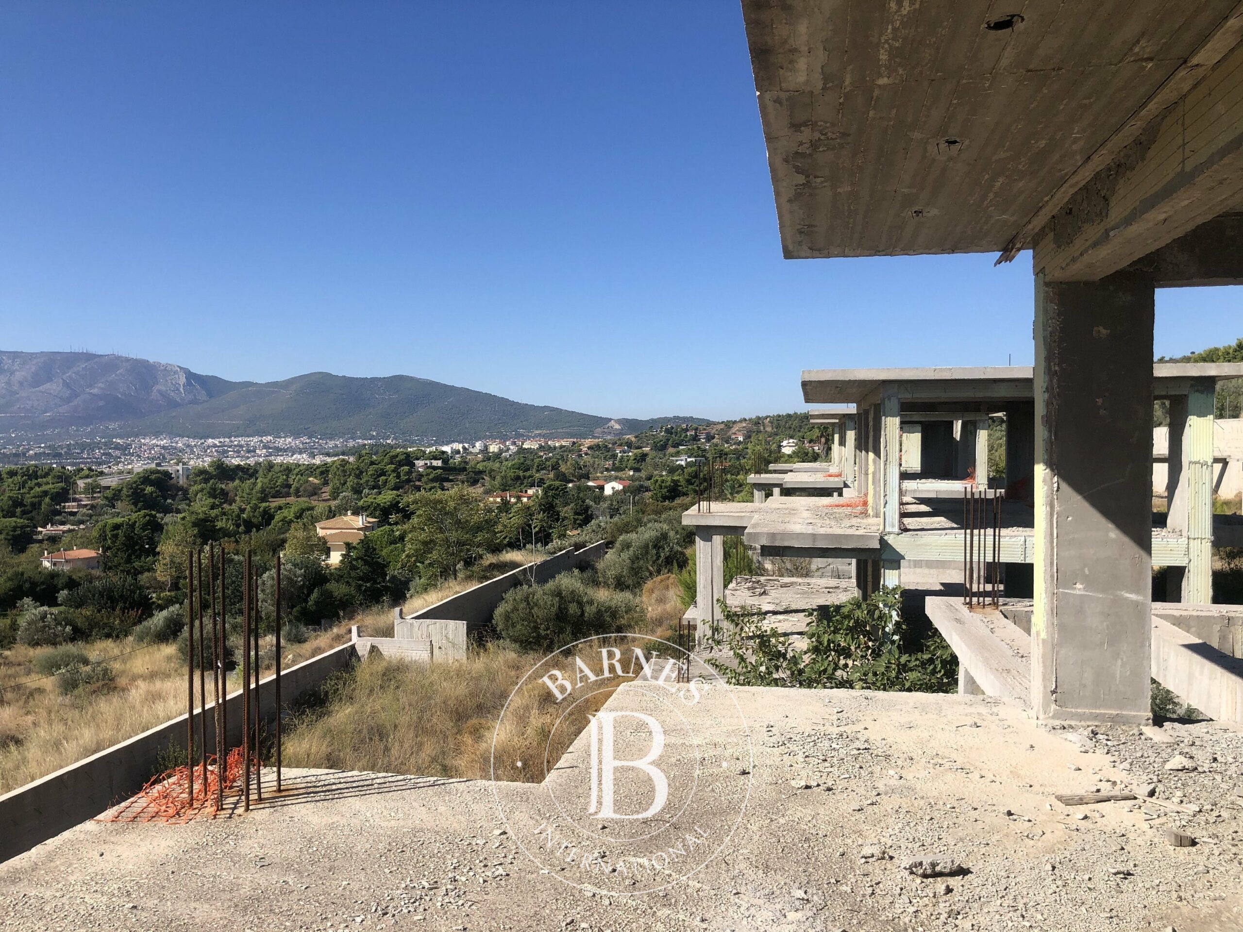 Daire Pallini - picture 7