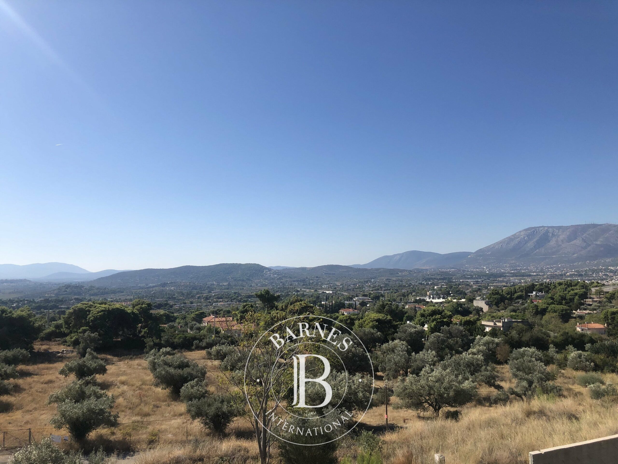 Daire Pallini - picture 6