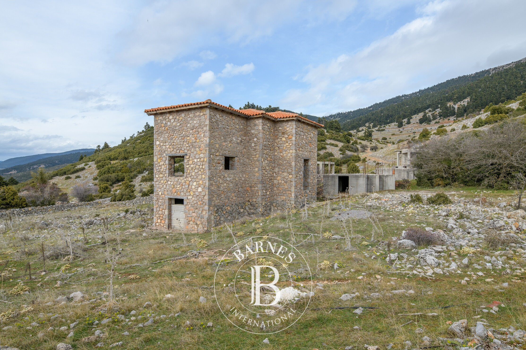 Ensemble Privilégié - Parnassos, Grèce Centrale - picture 3