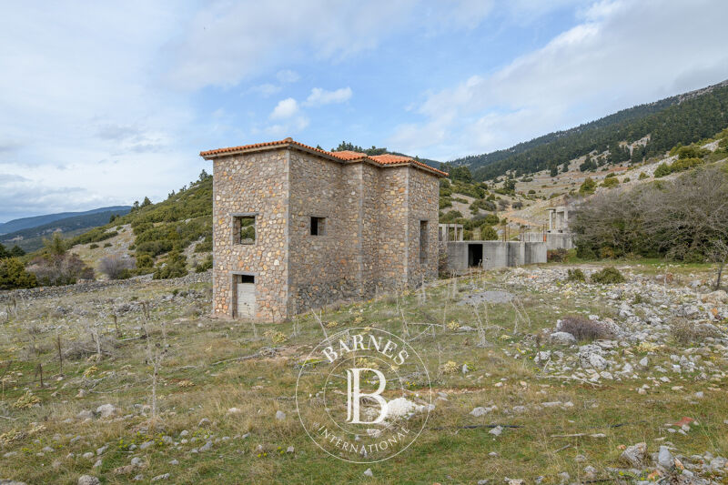 À vendre Appartement | Arachova - picture 3