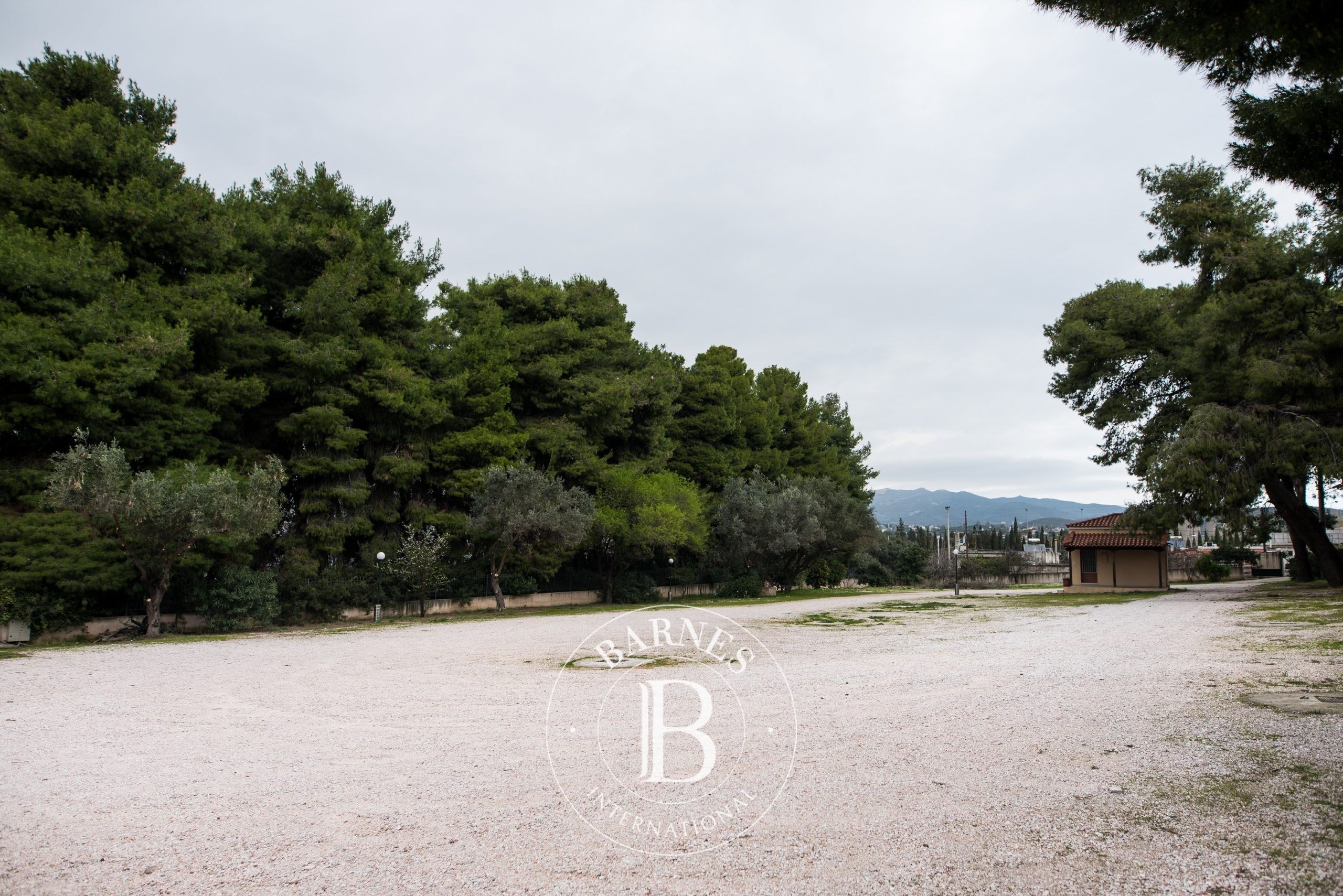 Dükkan Pallini - picture 13