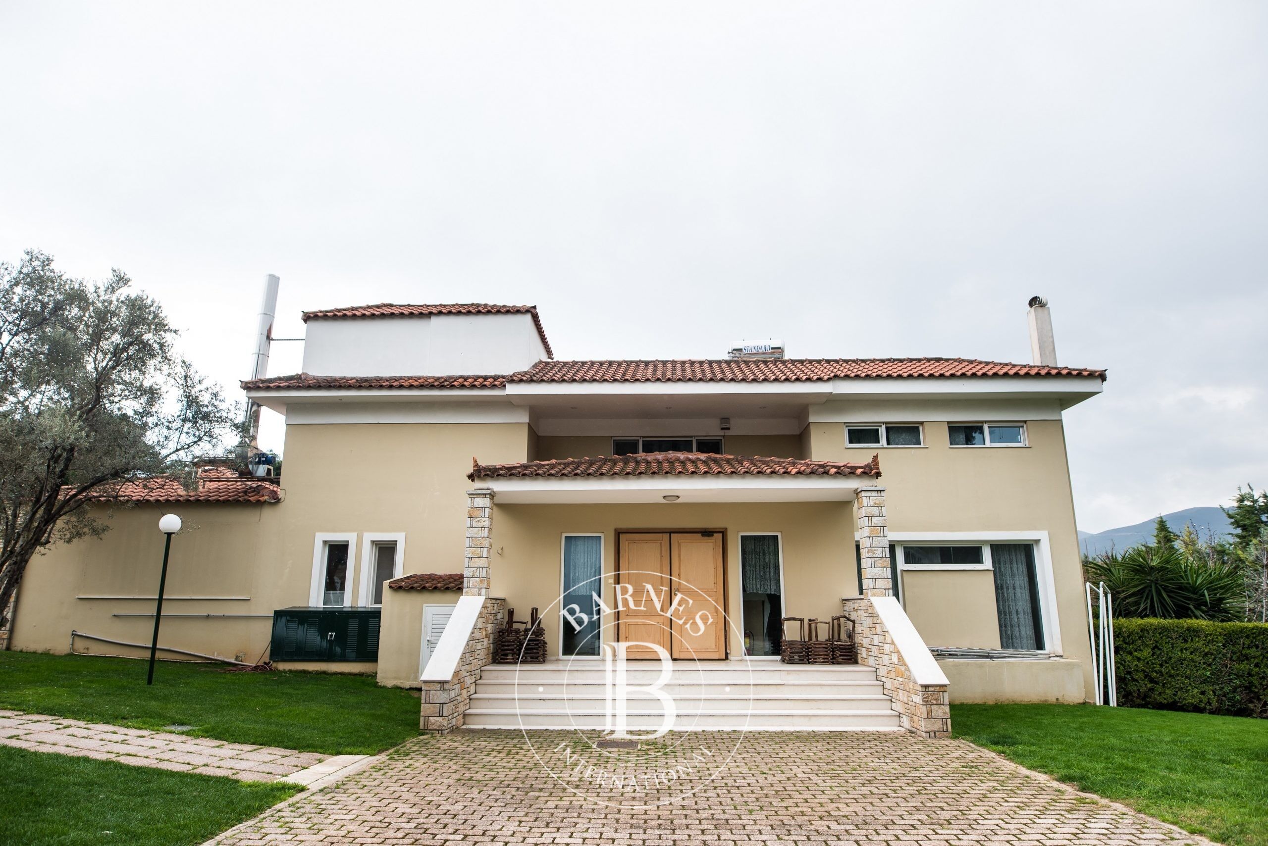 Dükkan Pallini - picture 6