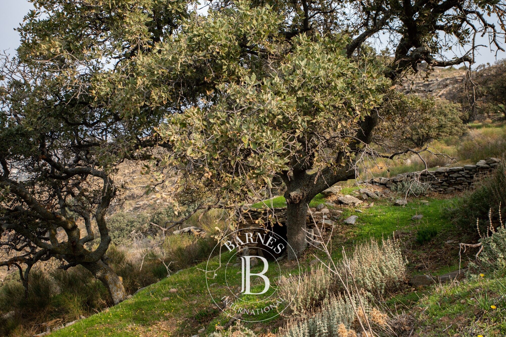 Magnifique Terrain - Île de Kéa - picture 2