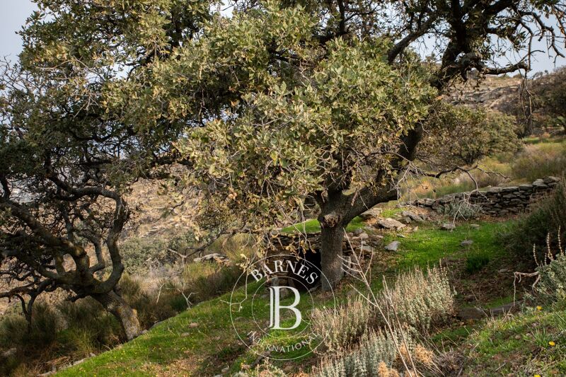 À vendre Terrain constructible | Kea - picture 2