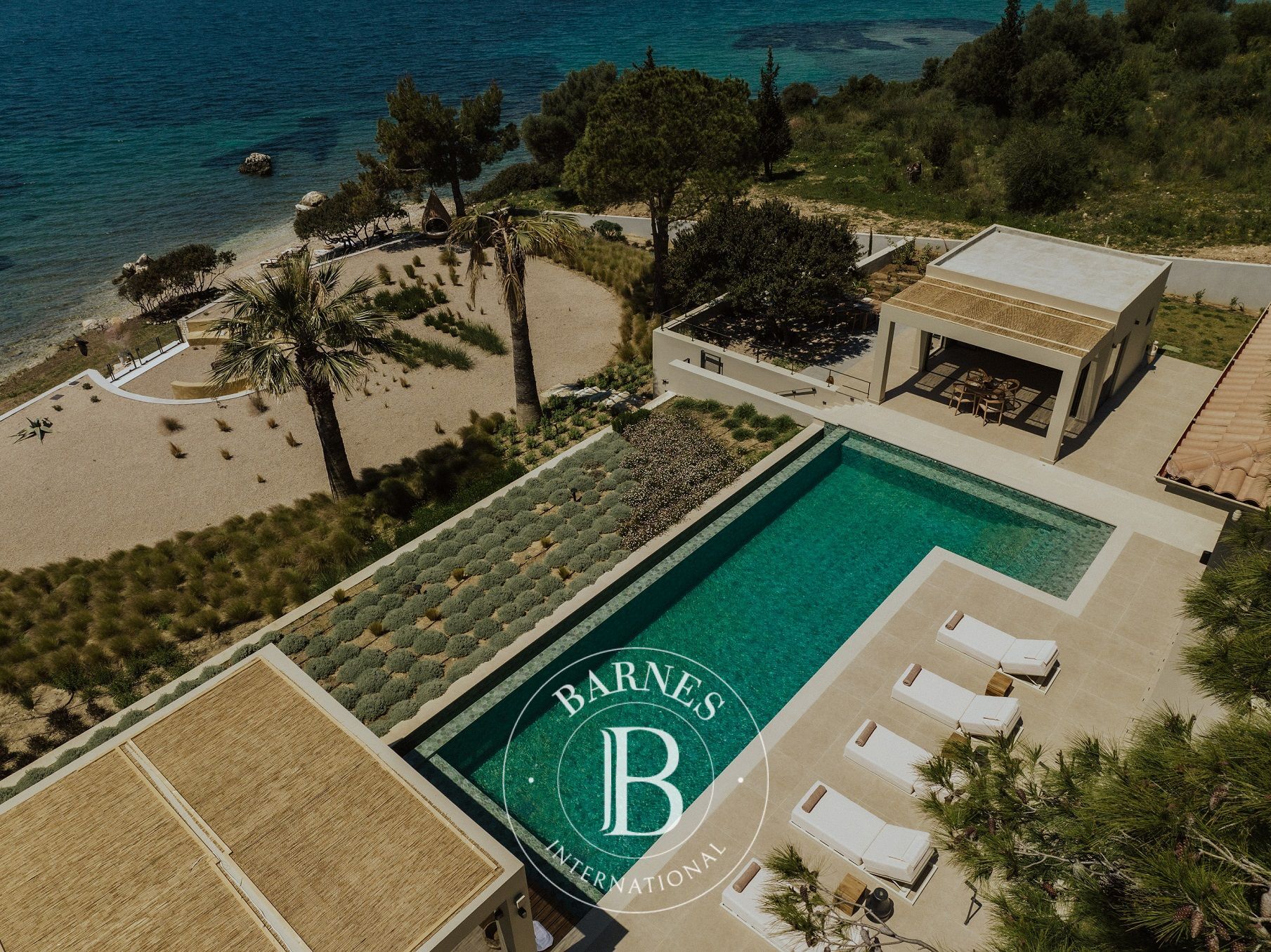 Ev Paleros - picture 11