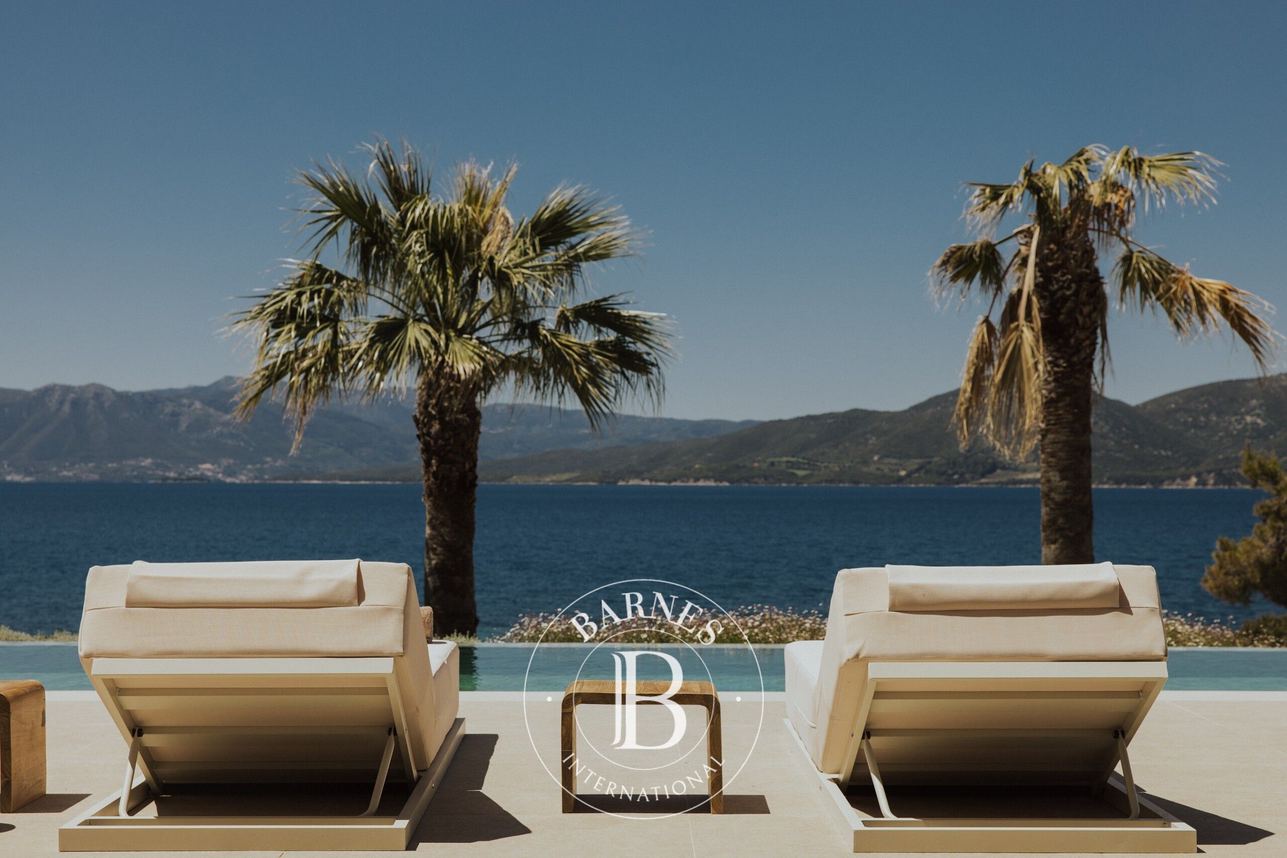 Ev Paleros - picture 10