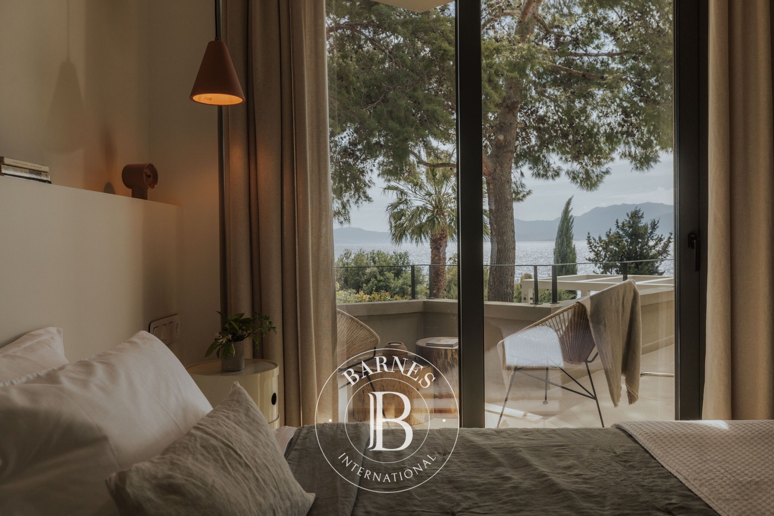 Ev Paleros - picture 6