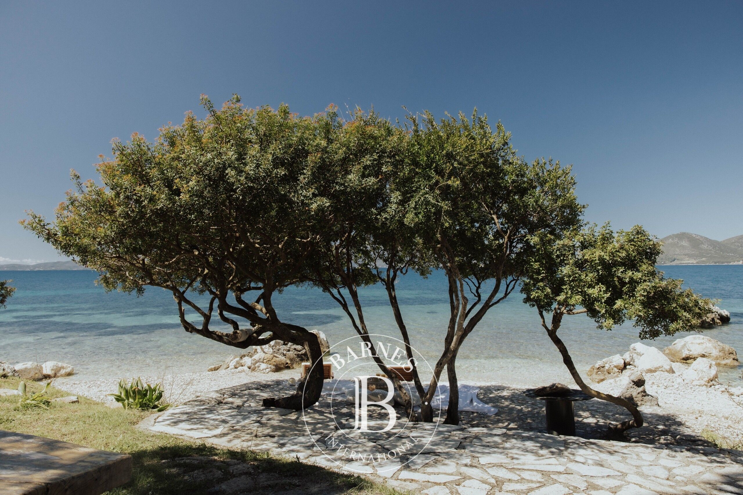 Ev Paleros - picture 15