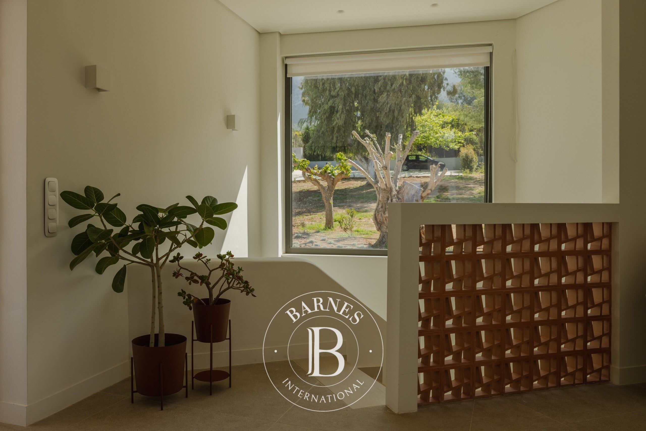 Ev Paleros - picture 5