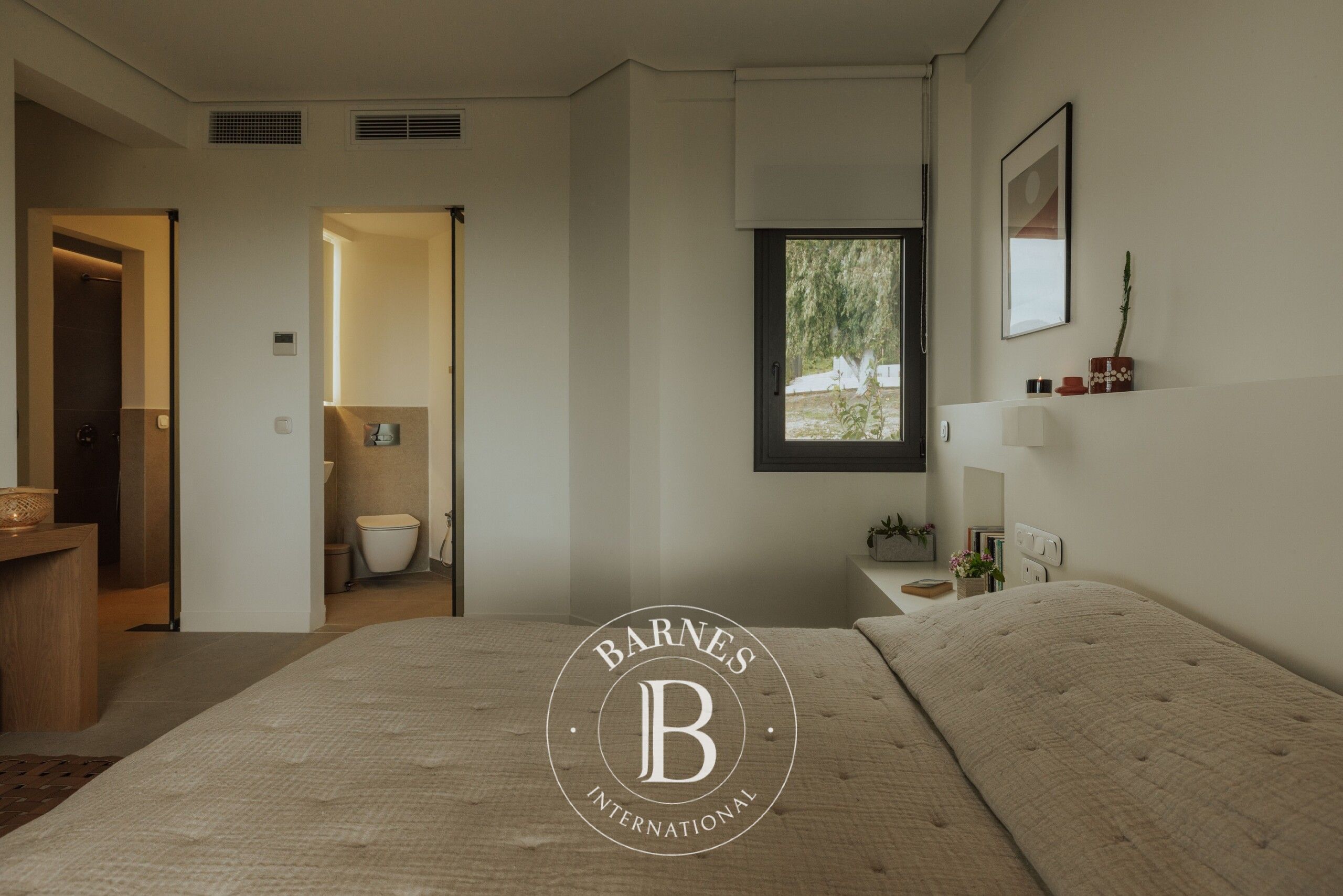 Ev Paleros - picture 7