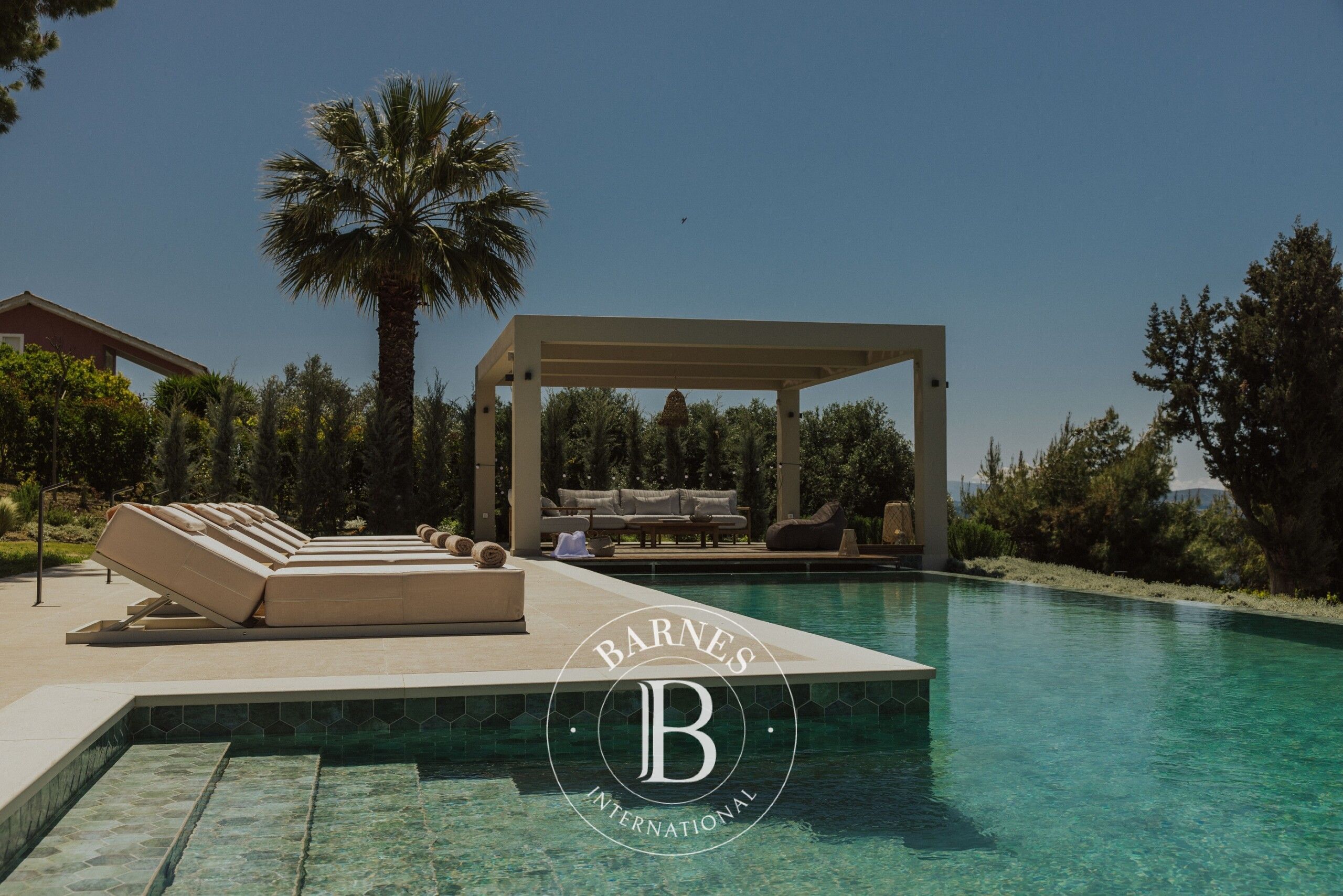 Ev Paleros - picture 9