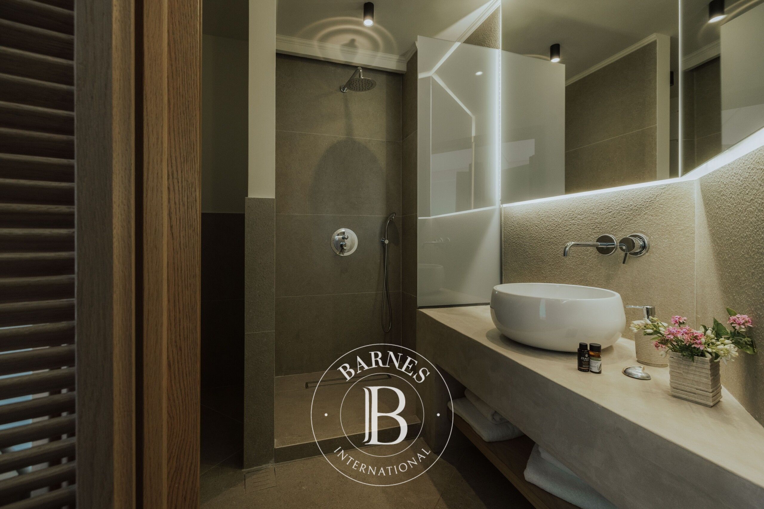 Ev Paleros - picture 8