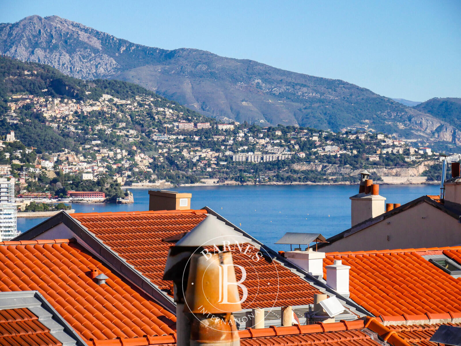 MONACO-VILLE - TRIPLEX WITH TERRACE - FREE OF LAW - picture 3