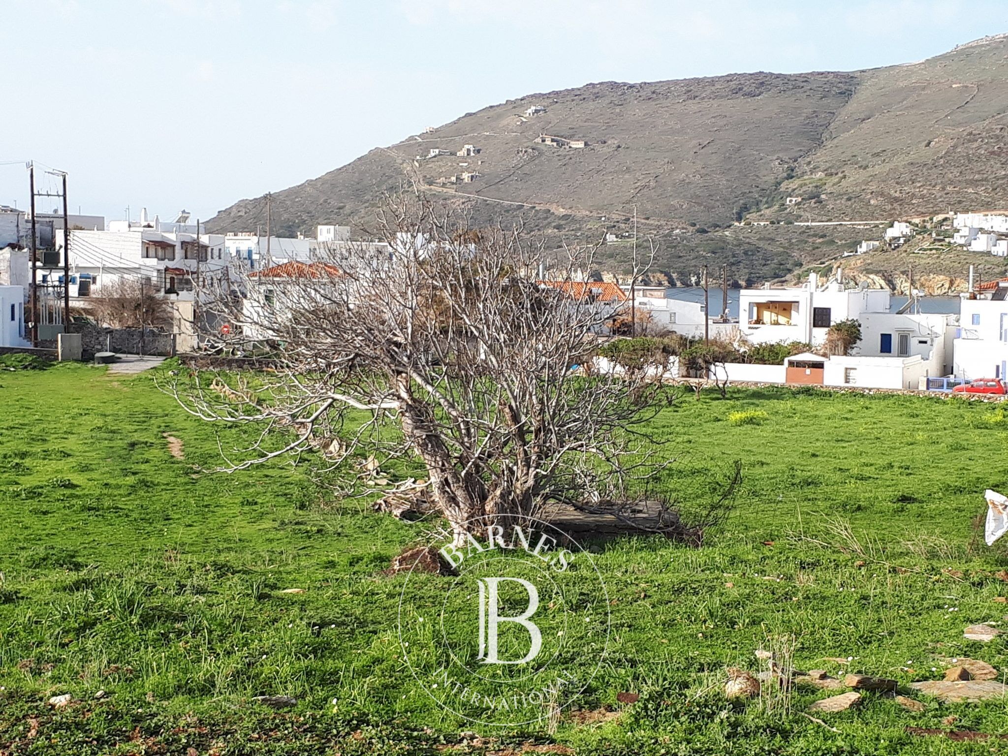 Privileged Plot - Andros - picture 3