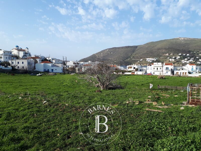 Privileged Plot - Andros