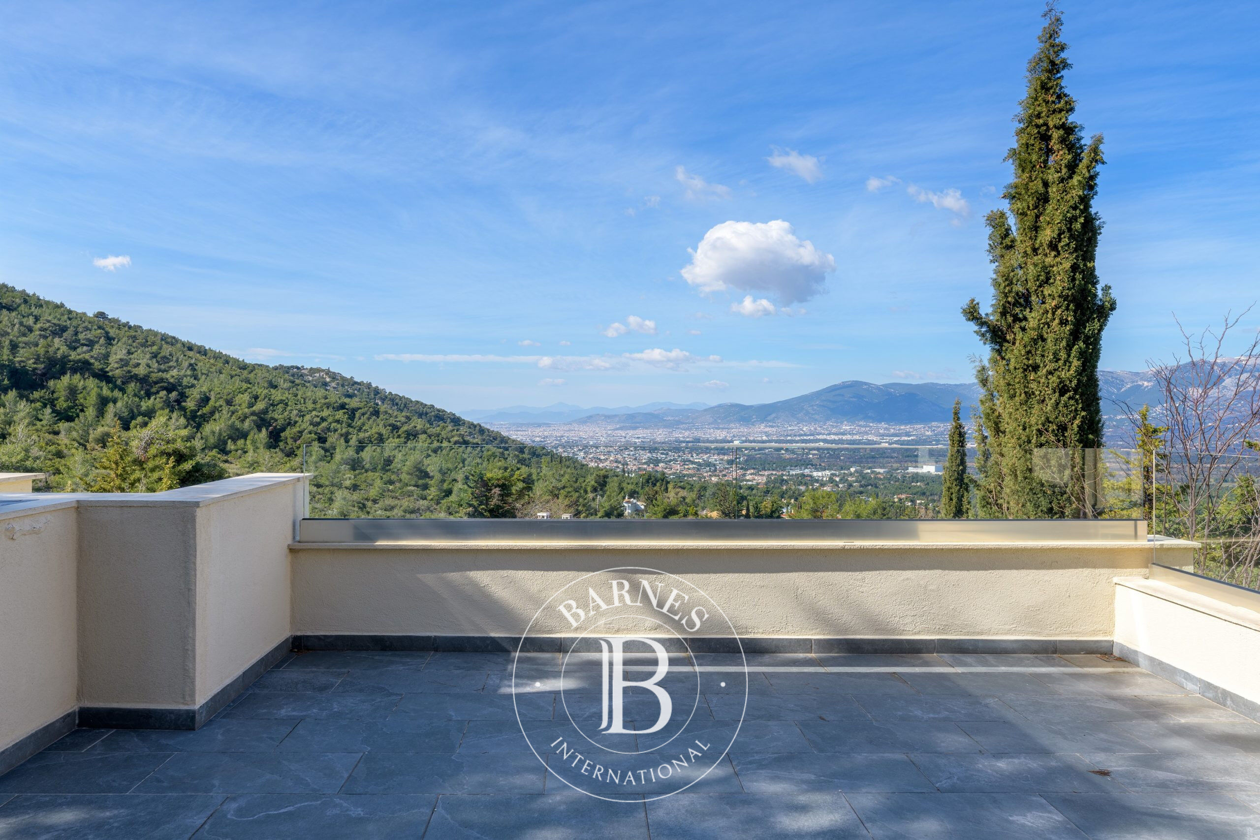 Ev Dionysos - picture 8