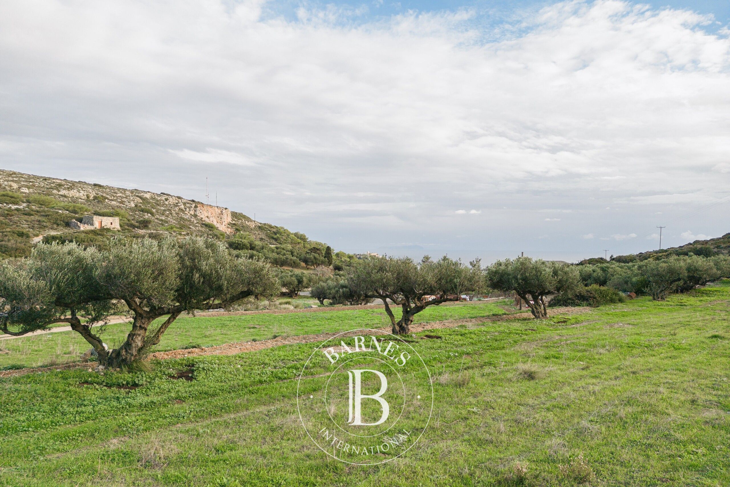 Terrain Idéal - Île de Cythère - picture 2