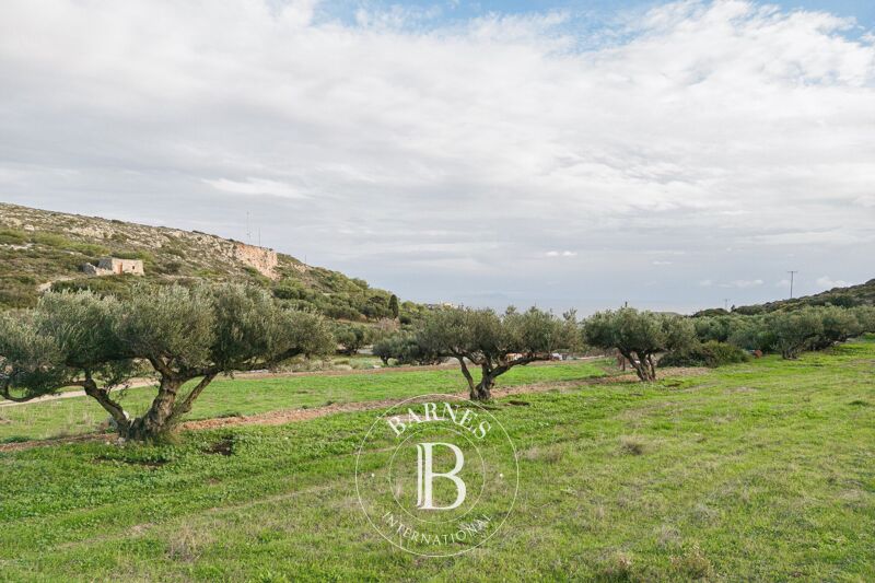 À vendre, Terrain constructible Kythira - picture 2