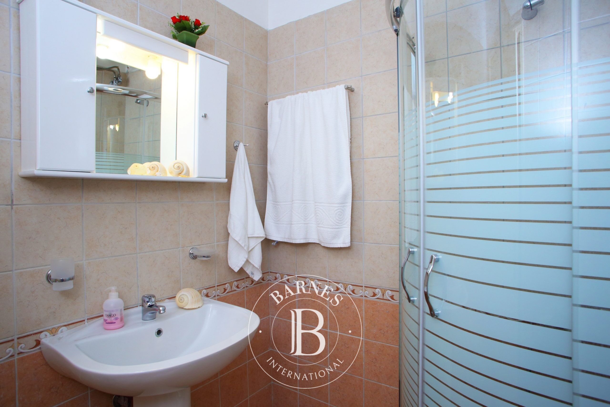 Ev Lefkada - picture 10