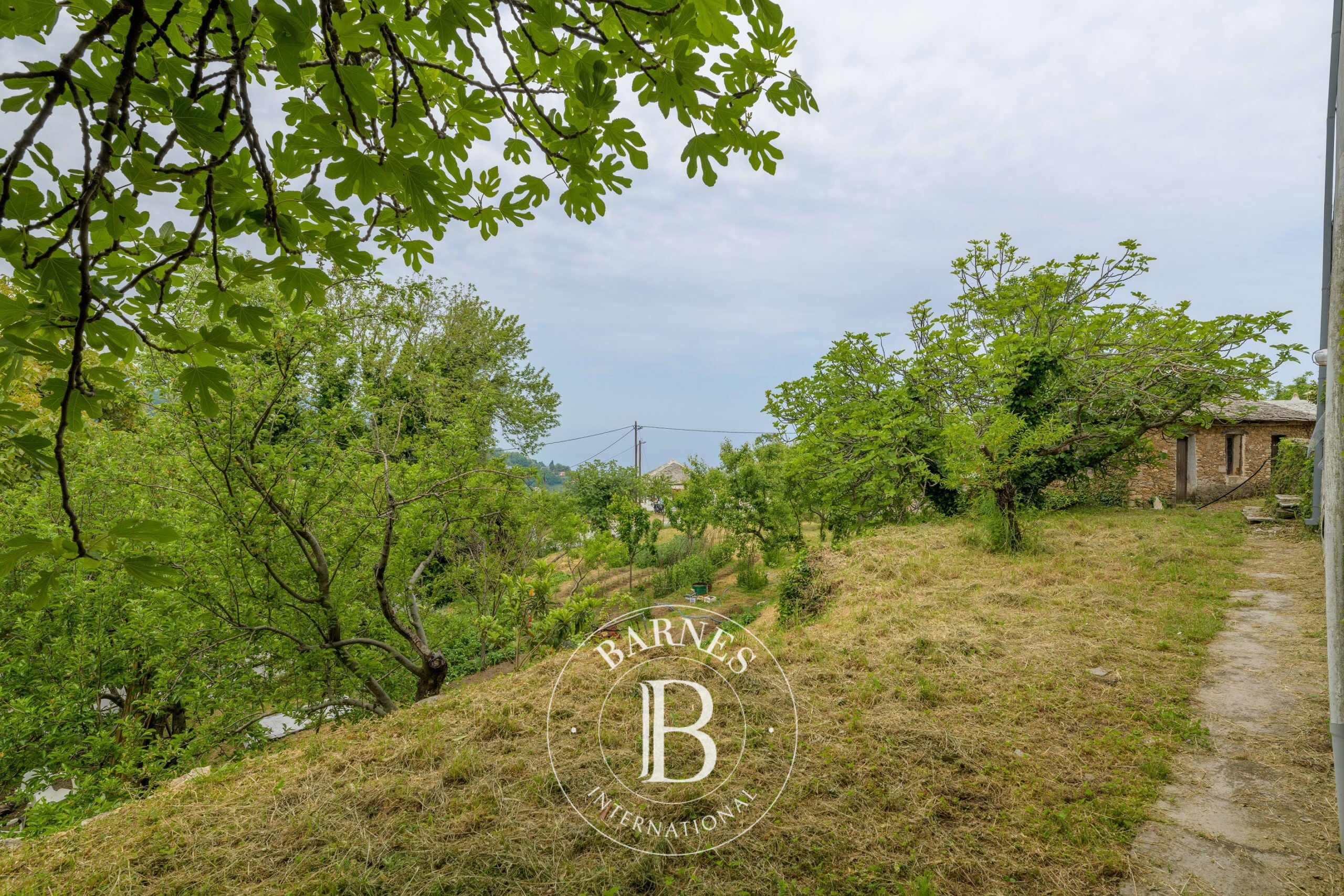 Casa Magnesia - picture 3