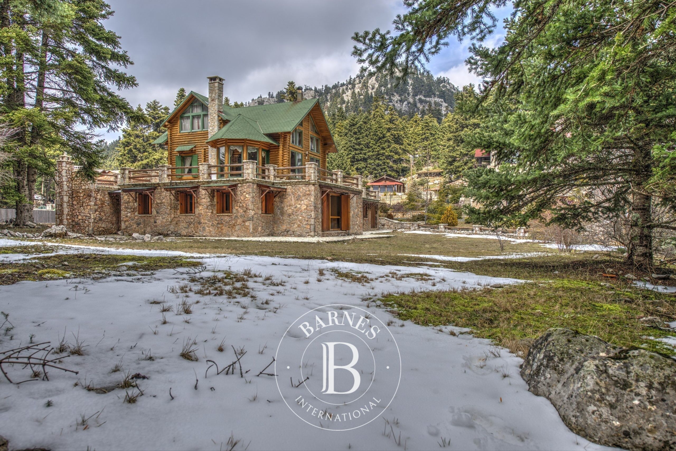 Maison Magnifique - Parnassos, Grèce Centrale - picture 3