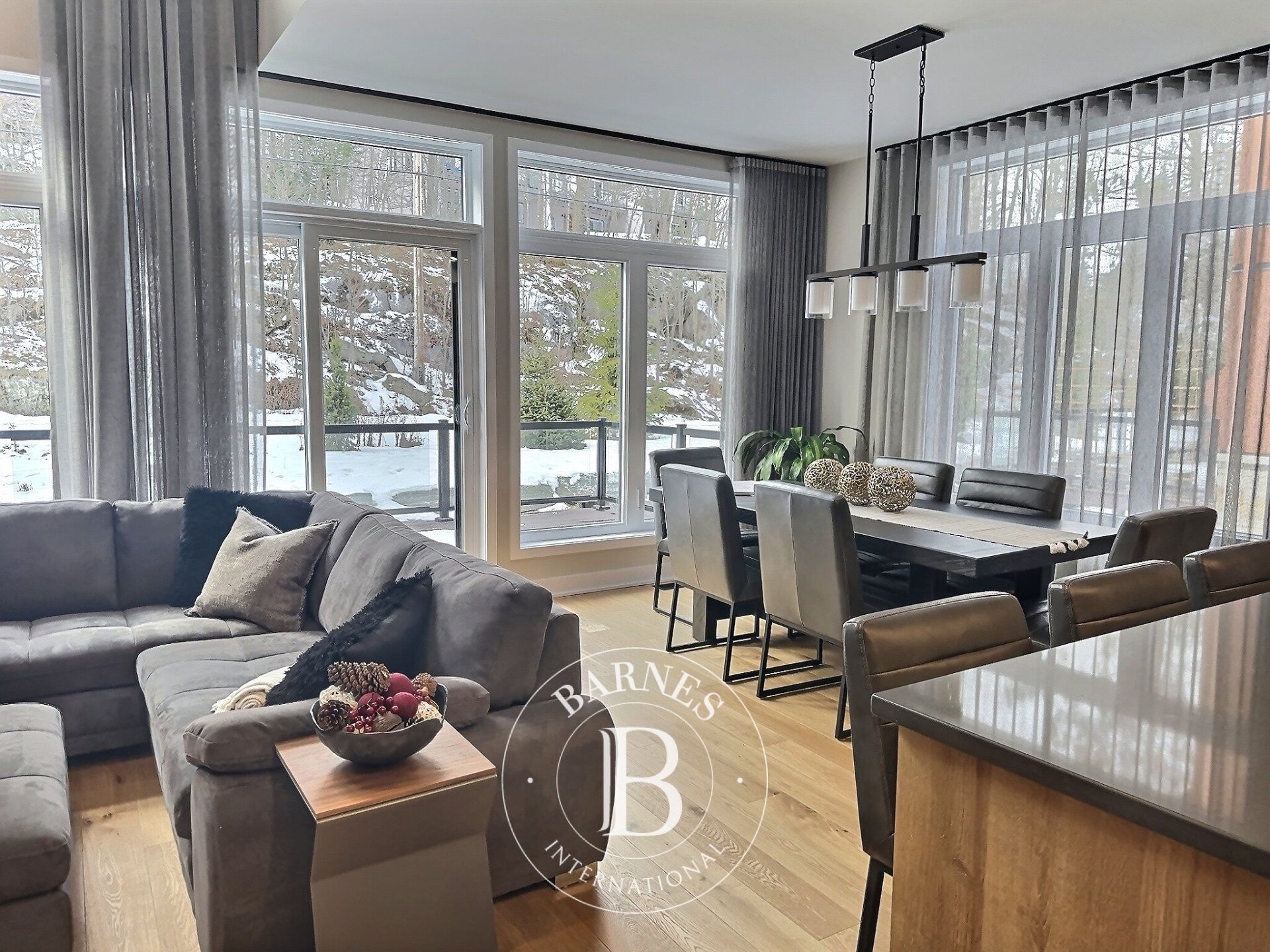 Ev Mont-Tremblant - picture 4