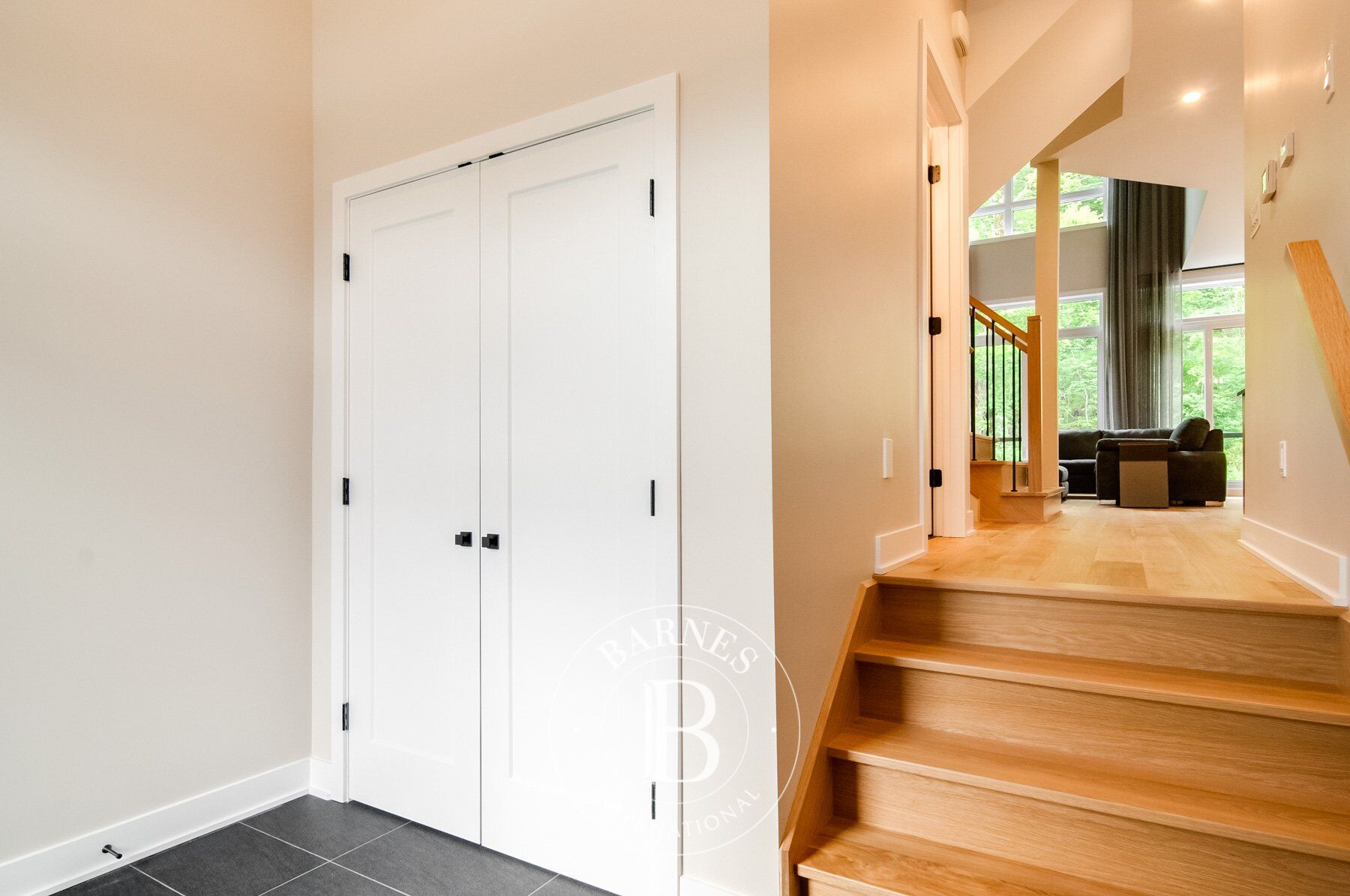 Ev Mont-Tremblant - picture 8