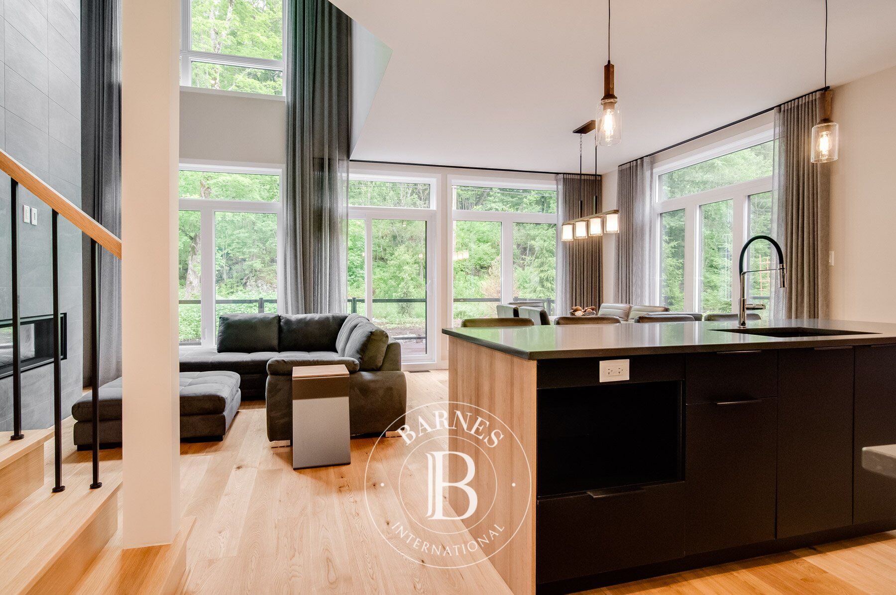 Ev Mont-Tremblant - picture 13