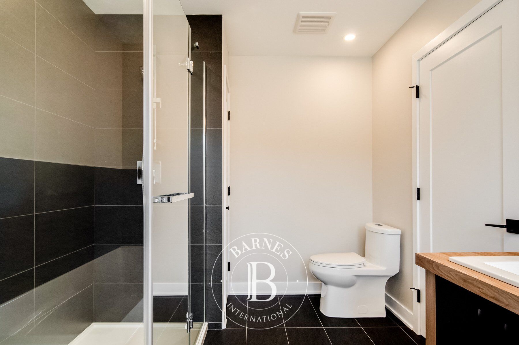 Ev Mont-Tremblant - picture 28