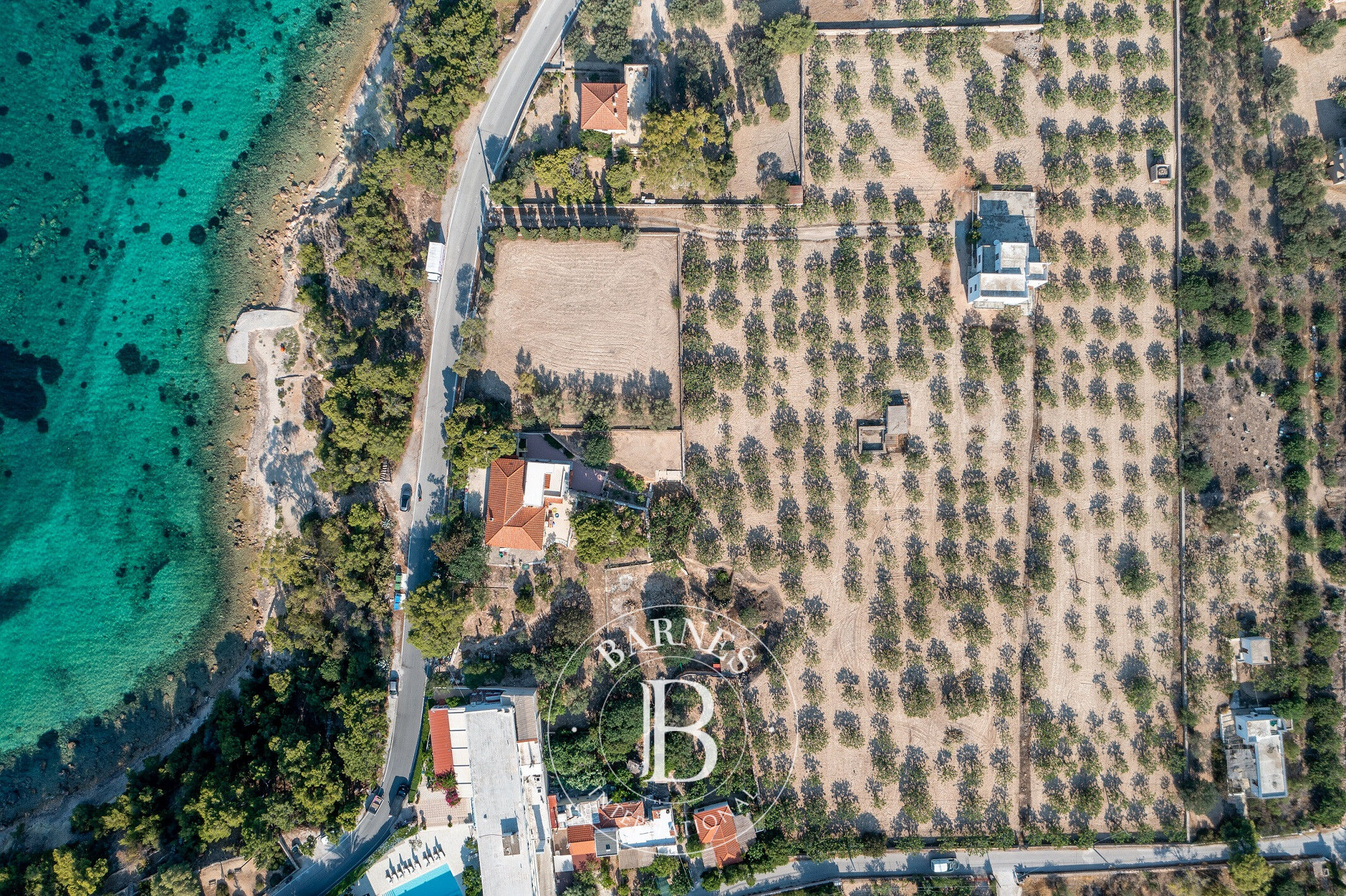 Excellent Terrain - Île d' Égine - picture 1