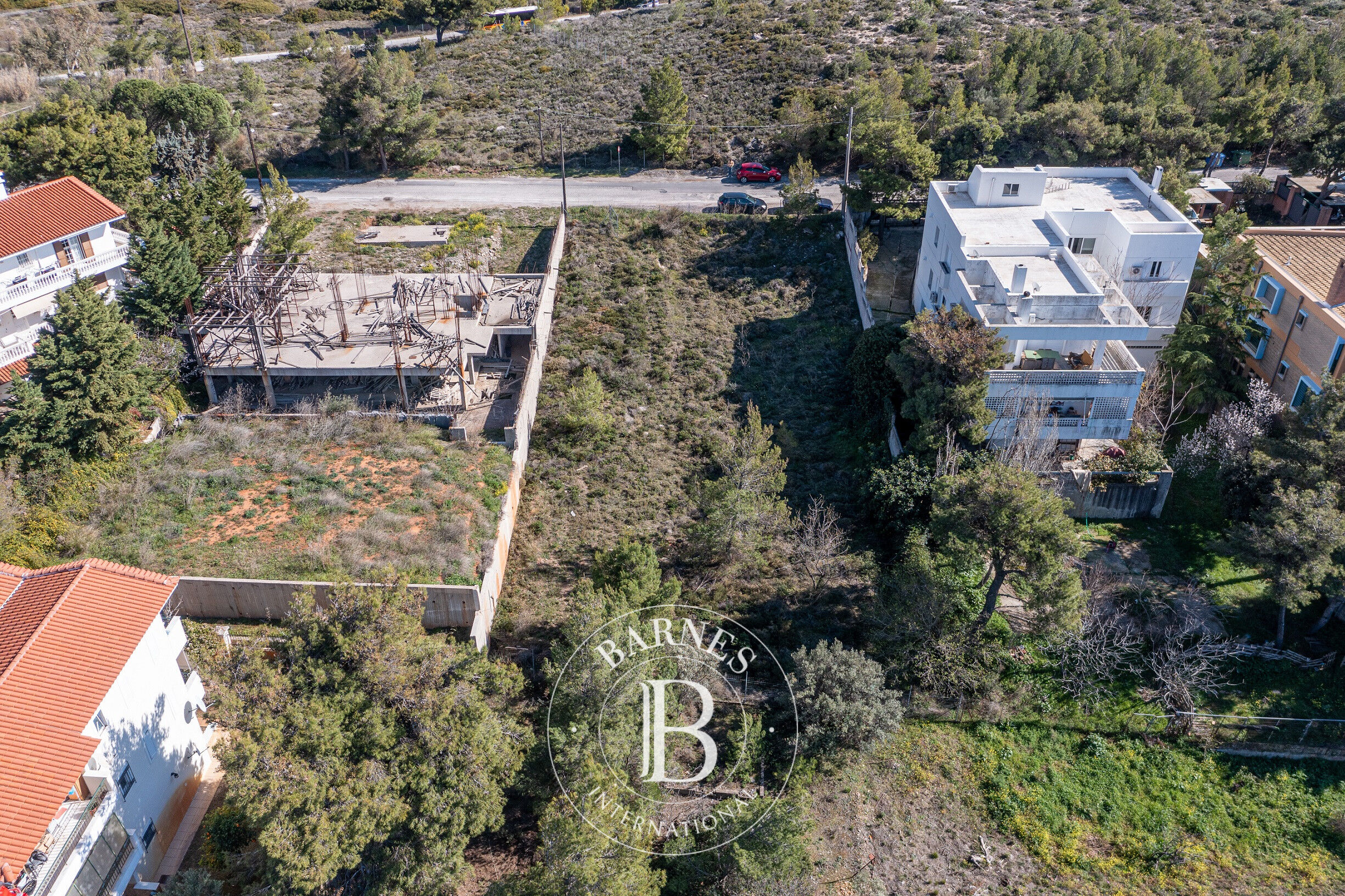 Zemin Penteli - picture 5