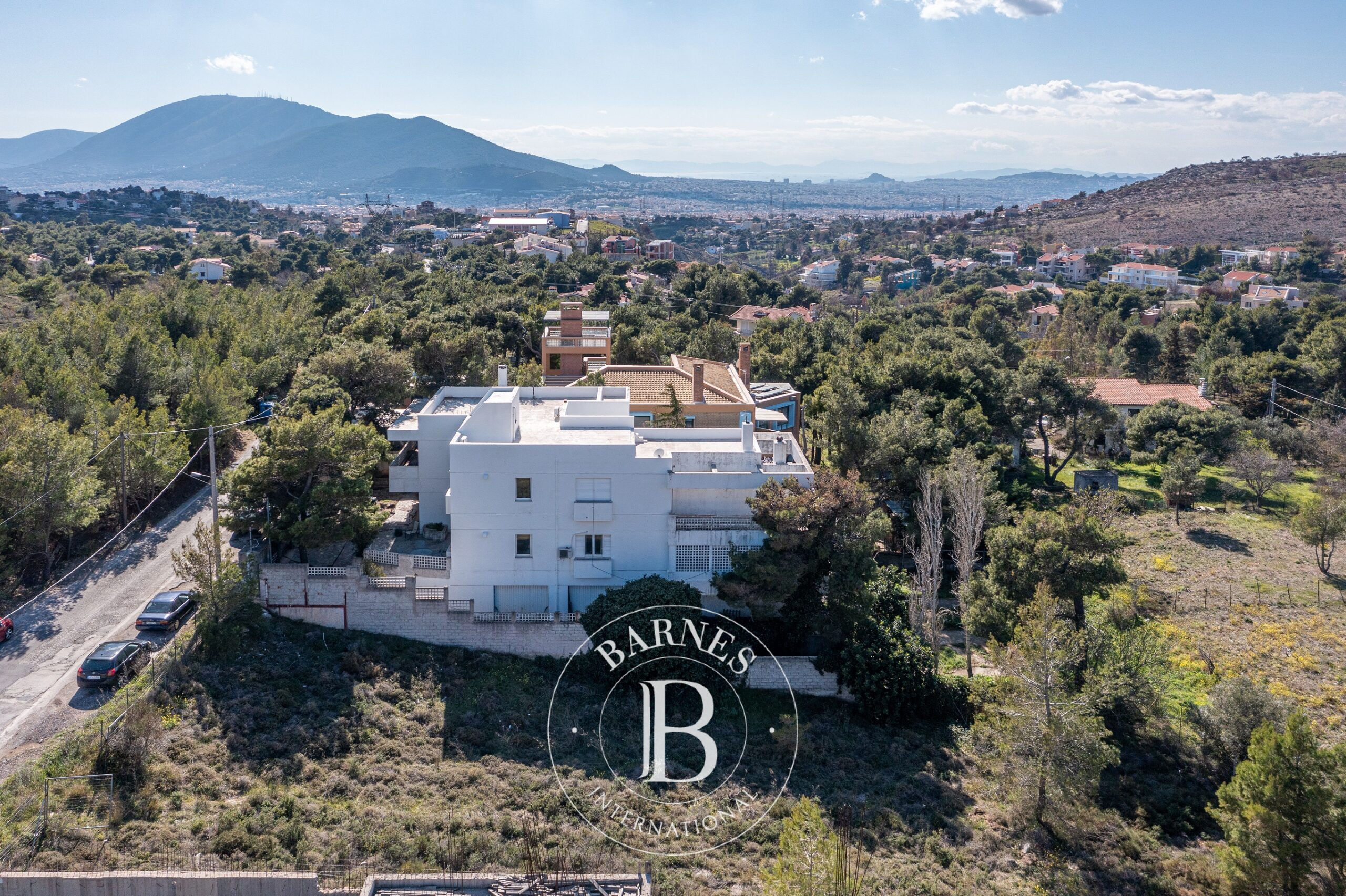 Zemin Penteli - picture 6